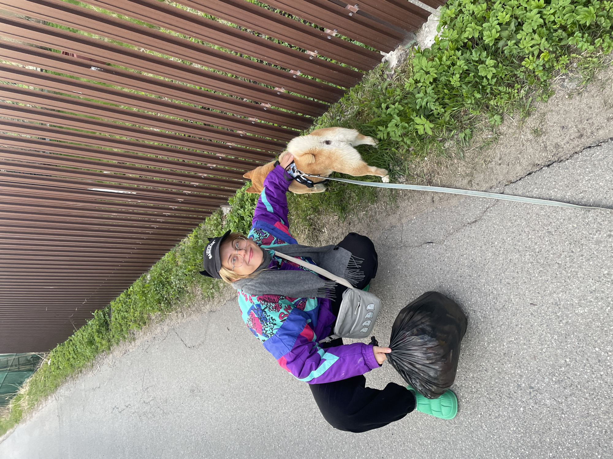 A woman kneels on a paved surface next to a fence and vegetation. She holds a black trash bag in her left hand, and her right hand is on a dog that is lying on the grassy area adjacent to the pavement and fence. The woman wears a colorful jacket, black pants, and light green footwear. She also has a black cap and glasses. A gray scarf is draped around her neck, and a light gray bag hangs from her shoulder. The dog is light brown. A leash connects the woman to the dog. The location could be a public walkway or the side of a street near a fenced property. It could be a place somewhere in Sestroretsk, Russia.