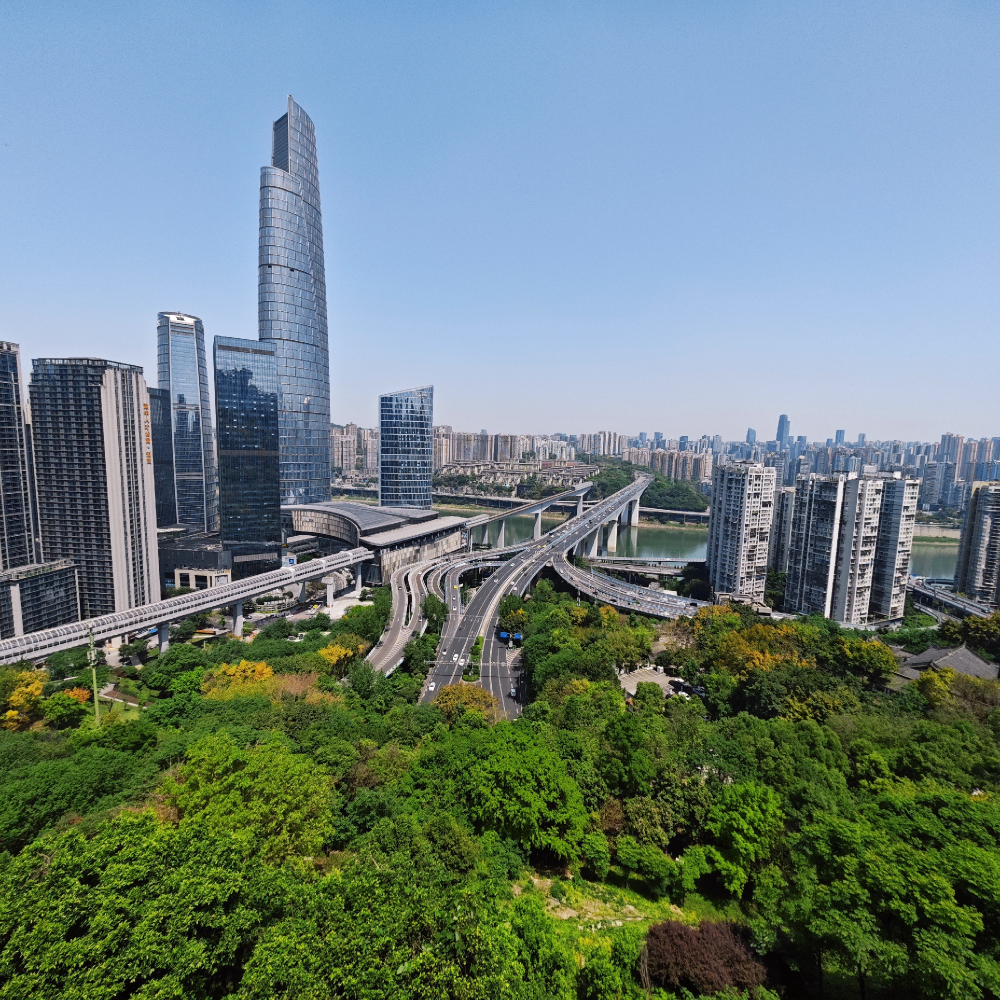 The image captures a high-angle, daytime view of Yuzhong District in Chongqing, China. The foreground is dominated by a dense canopy of green trees. A network of roadways and bridges cuts through the urban landscape, accommodating vehicular traffic. Elevated train tracks and a station are visible. Skyscrapers of varying heights and architectural styles populate the city skyline, contrasting with residential buildings further back. A wide river flows through the middle ground, spanned by bridges. The sky is clear and blue.