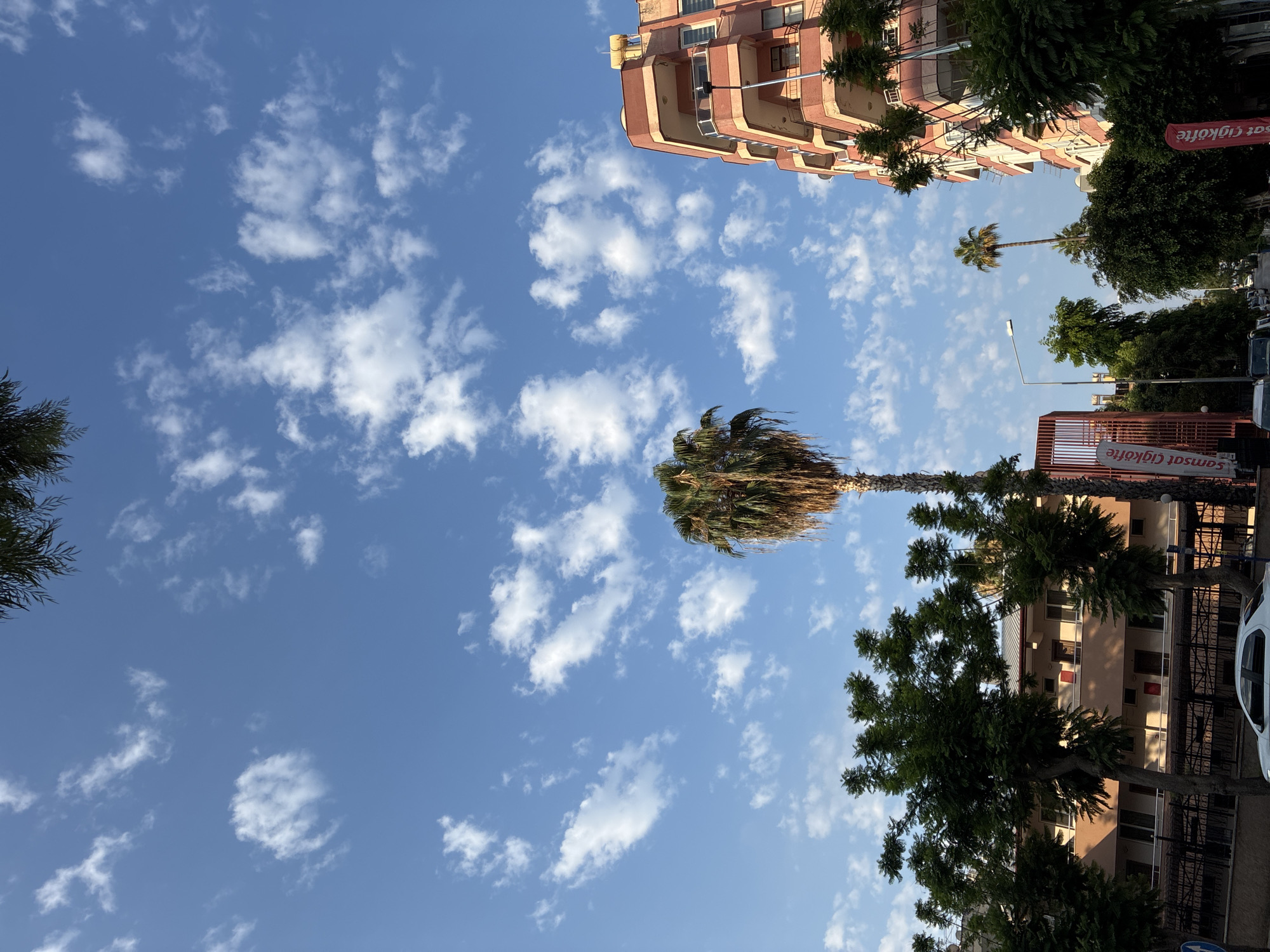 A wide-angle, eye-level shot captures a street scene in Alanya, Turkey, on a clear day with scattered white clouds against a bright blue sky. The foreground is dominated by a street with parked cars and a sidewalk. Trees line the street, some with lush green foliage, others showing their bare branches. A tall palm tree stands prominently in the center of the frame, its fronds reaching towards the sky. To the right, a multi-story building with a reddish-orange facade and balconies is visible. On the left side of the street, another building with a light brown facade and numerous windows is present. A lamppost stands near the center of the street. Two red flags with white text are positioned near the right edge of the frame, and a red metal structure with signage is visible on the left. The overall impression is a sunny day in an urban environment.