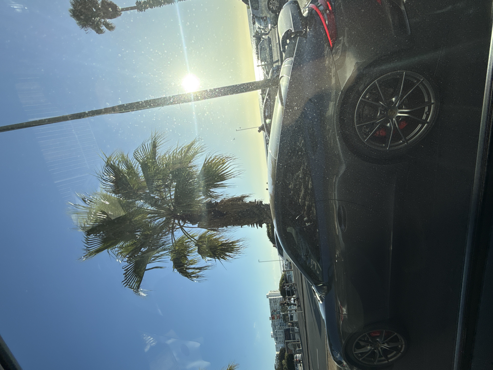 View from inside a parked car in Cape Town, South Africa. A palm tree is visible on the left, outside the car, and rows of parked cars stretch into the distance. Buildings are seen in the background. The sun is shining brightly, causing glare. The focus is on the scenery outside the car window.
