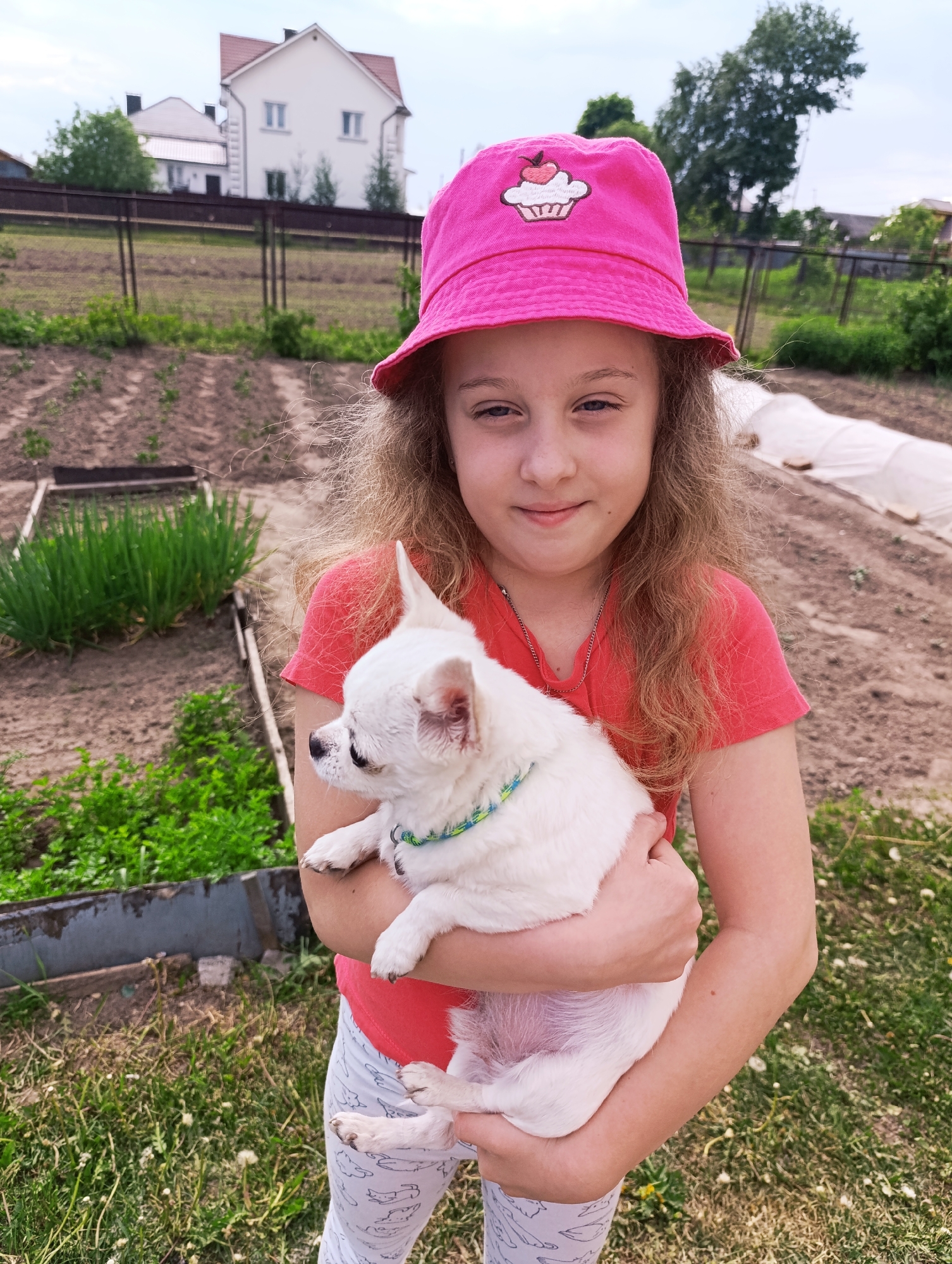 A young girl wearing a pink bucket hat with a cupcake design and a red t-shirt is holding a small, white Chihuahua dog in a garden. The girl has light skin, brown eyes, and long, wavy brown hair. The dog has short, white fur and a blue and green collar. In the background, there is a garden with rows of plants and a house with a brown roof. The location appears to be a residential area.
