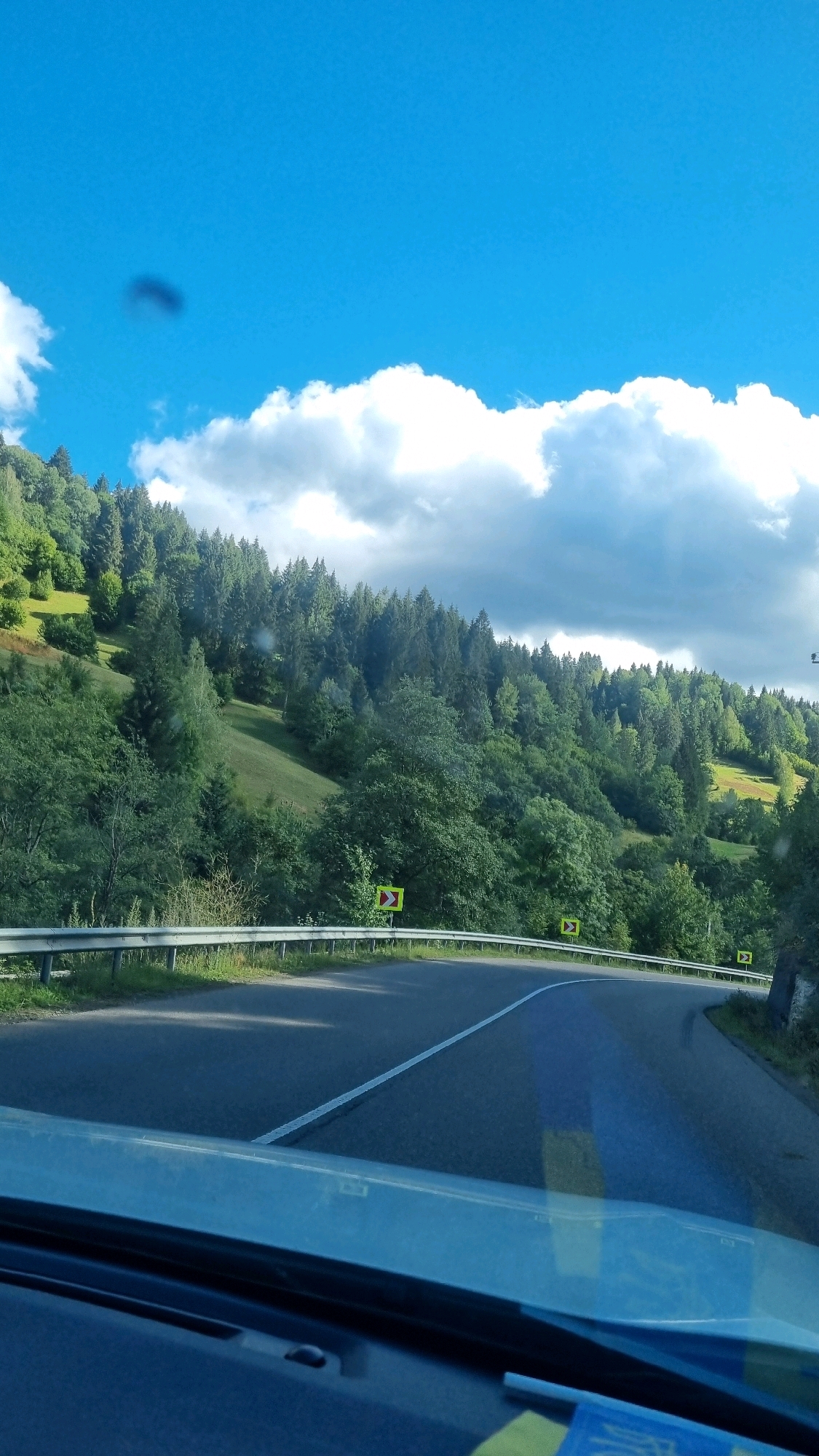 The image depicts a winding asphalt road in a mountainous, forested region. The road curves to the right, with a metal guardrail on the left side. Yellow diamond-shaped signs with black arrows indicating curves are visible along the roadside. Dense green trees cover the sloping hills on either side of the road, with some patches of green grass on the slopes. The sky is bright blue with scattered white cumulus clouds. The foreground shows the dashboard and windshield of a vehicle, suggesting the image was taken from a car in motion. There is no indication of the city of Torun, Ukraine, in the image.