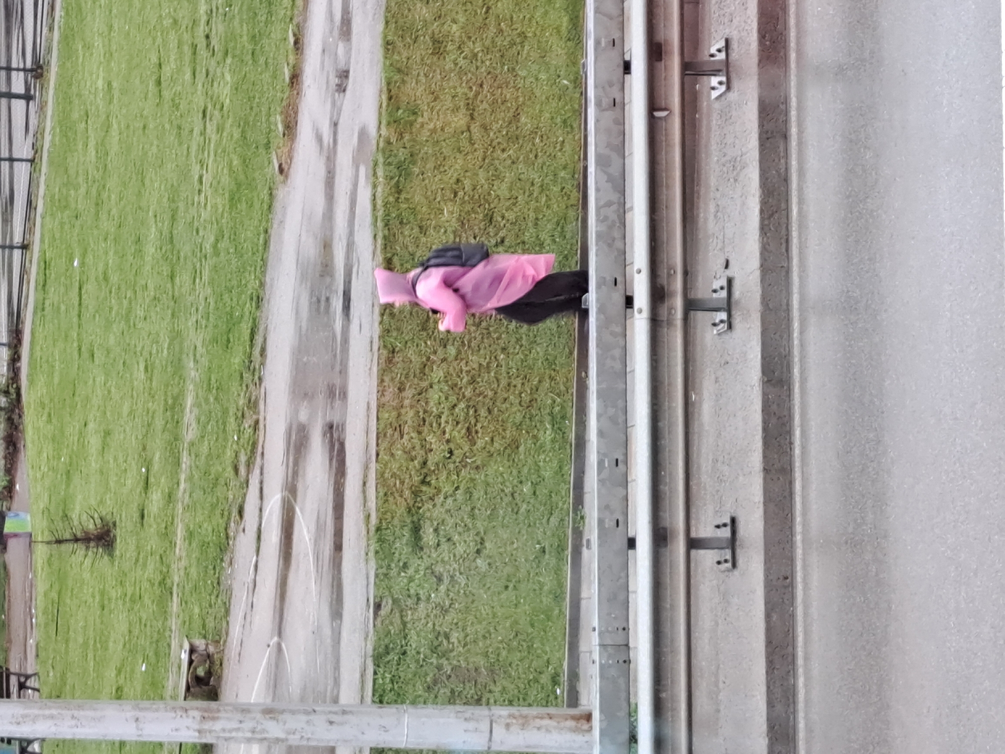 The image depicts an outdoor scene, likely a public space such as a park, a walkway alongside a road, or an elevated pathway. The perspective is from above, looking down.
The primary subject is a person standing near a metal barrier. They are wearing a bright pink long-sleeved top or jacket, possibly rainwear, and dark trousers or a long skirt. A black backpack is worn on their shoulders. The person is positioned with their back mostly towards the camera, facing towards a grassy area.
The environment consists of a vibrant green grassy expanse to the left and a paved path or narrow road to the right. The path appears wet with visible puddles and reflections, suggesting recent rainfall. A metal barrier or guardrail, composed of horizontal beams and vertical supports, runs along the edge of the paved area, separating it from the grassy ground below. In the grassy area, a small, bare tree or bush is visible. The lighting indicates it is daytime, possibly overcast, given the soft, diffused light and lack of strong shadows. There is no visible text in the image.