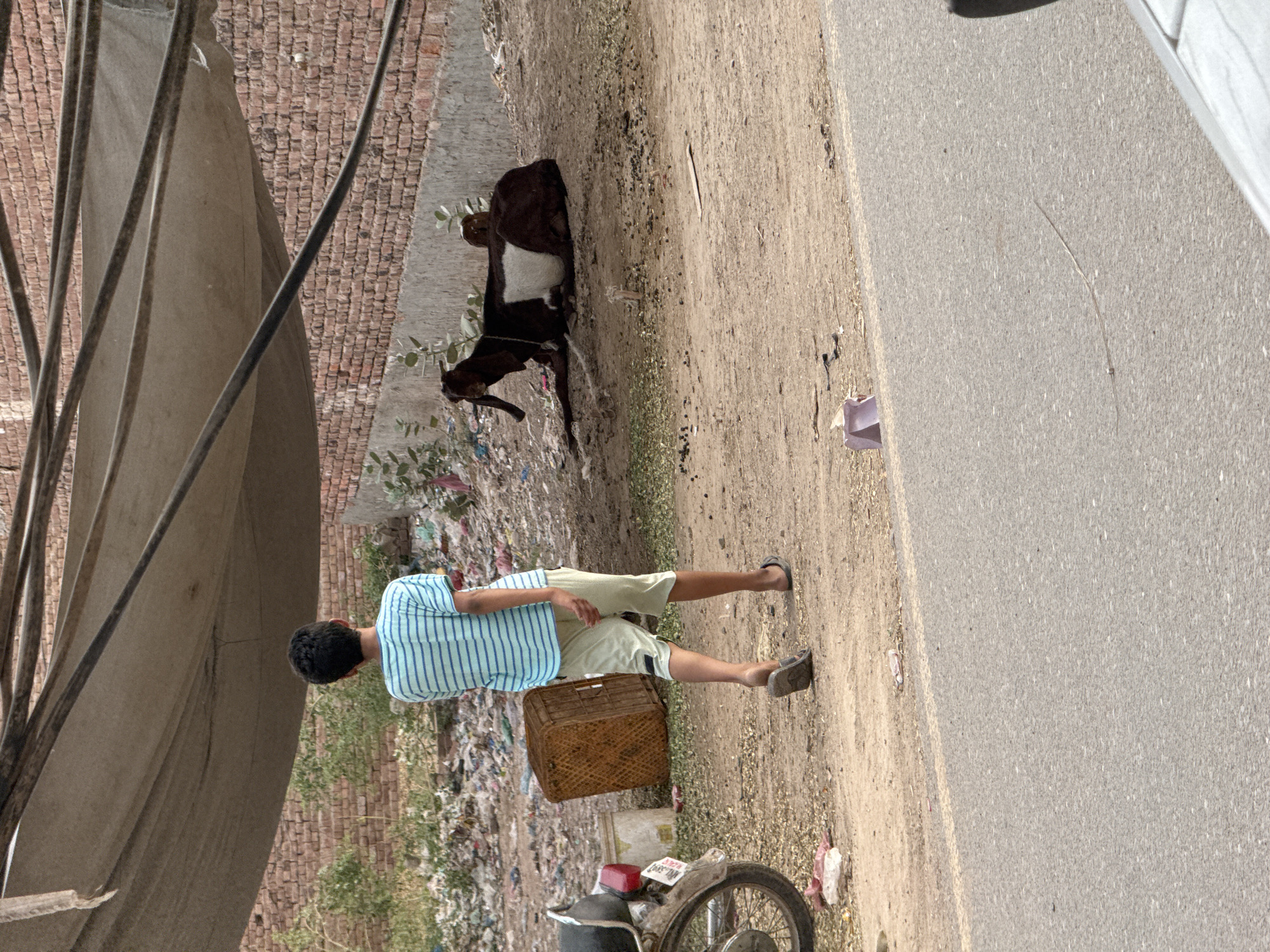 A man stands next to a parked motorcycle and woven basket on a dirt patch bordered by trash and a brick wall, facing away from a black and white goat on the same dirt patch, with a canopy structure visible on the left and a paved road to the right. The scene appears to be set in an urban fringe area, location Unknown, Unknown.