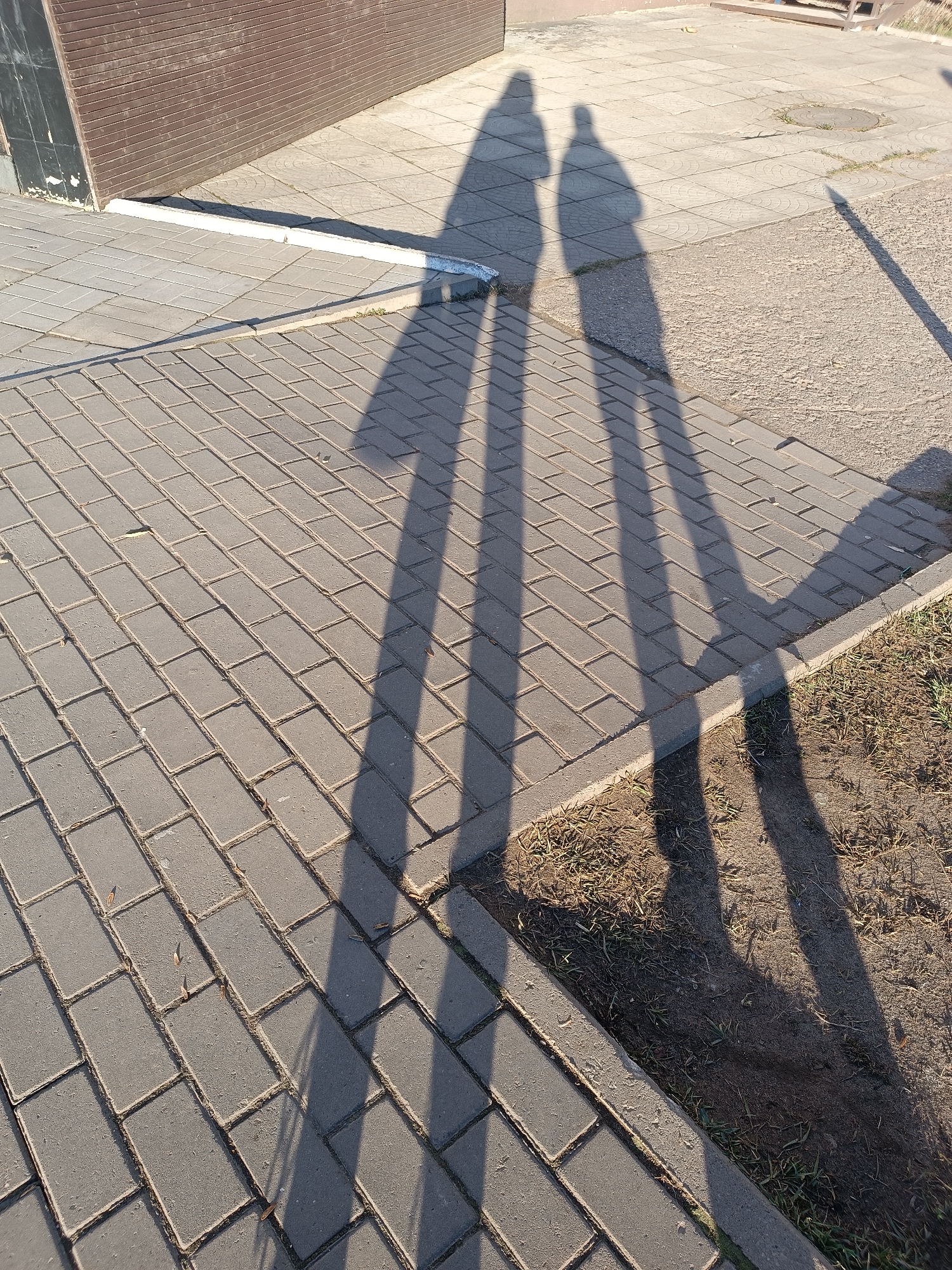 The image captures a ground-level view of an outdoor scene, dominated by long shadows stretching across paved surfaces. Two distinct human shadows, one appearing slightly larger than the other, are prominent in the foreground and midground, suggesting two individuals are either standing or walking. Their shadows extend towards the upper right of the frame, indicating the light source (the sun) is low in the sky, likely early morning or late afternoon.
The ground features multiple textures: interlocking grey rectangular pavers laid in a herringbone pattern fill the lower and left sections of the frame. Further back, there are larger, lighter square pavers, some with faint circular indentations. A rougher, light-colored concrete or asphalt path is also visible. A low, white curb separates a portion of the paved area from a strip of dry earth and sparse, yellowish-green grass. In the background, a dark brown, possibly wooden or metal, slatted wall or building facade stands at an angle. Additional long, narrow shadows, likely from lampposts or other vertical structures, are cast across the ground, particularly to the right and left of the human shadows.
The clear, distinct shadows suggest a sunny day with no cloud cover. There is no visible text or specific activity beyond the implied presence of the two individuals casting the shadows. The scene depicts a typical urban or suburban pathway, consistent with a location like Chaikovsky, Russia.