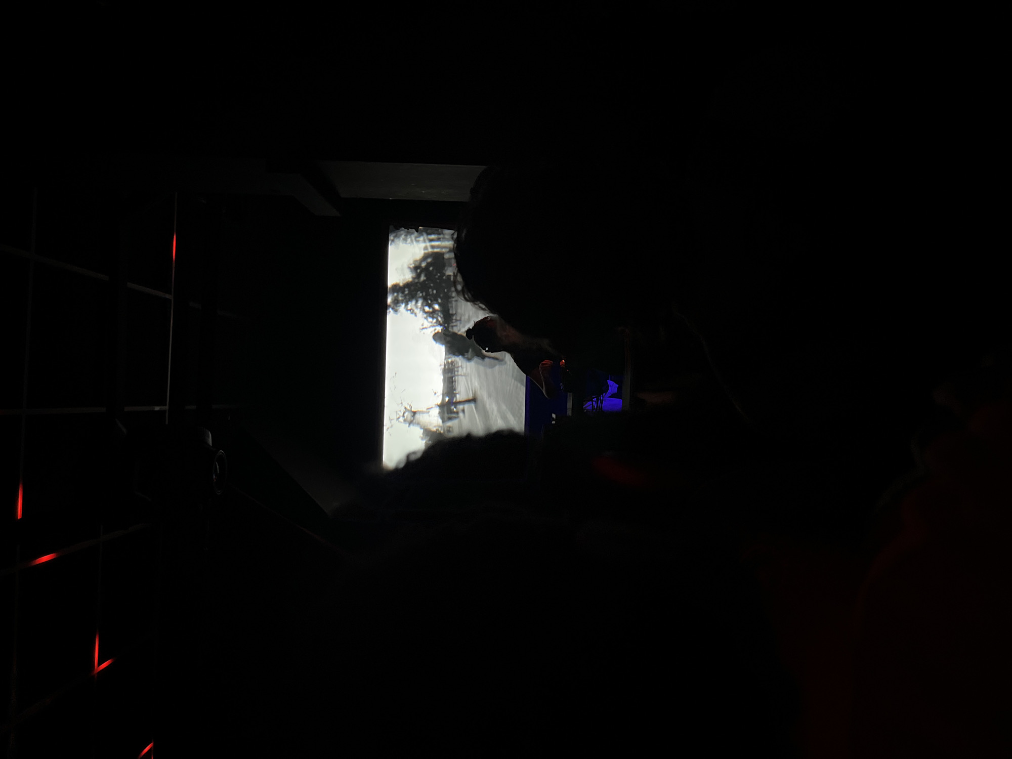 The image is taken in a darkened room, possibly a theater or auditorium, with a person's head silhouetted in the foreground. A bright screen shows a black and white image of a landscape. To the left, a grid-like structure with some illuminated red lines is visible. There are other indiscernible figures and objects in the shadows. The image lacks detail due to the darkness. The location is not discernible from this image.