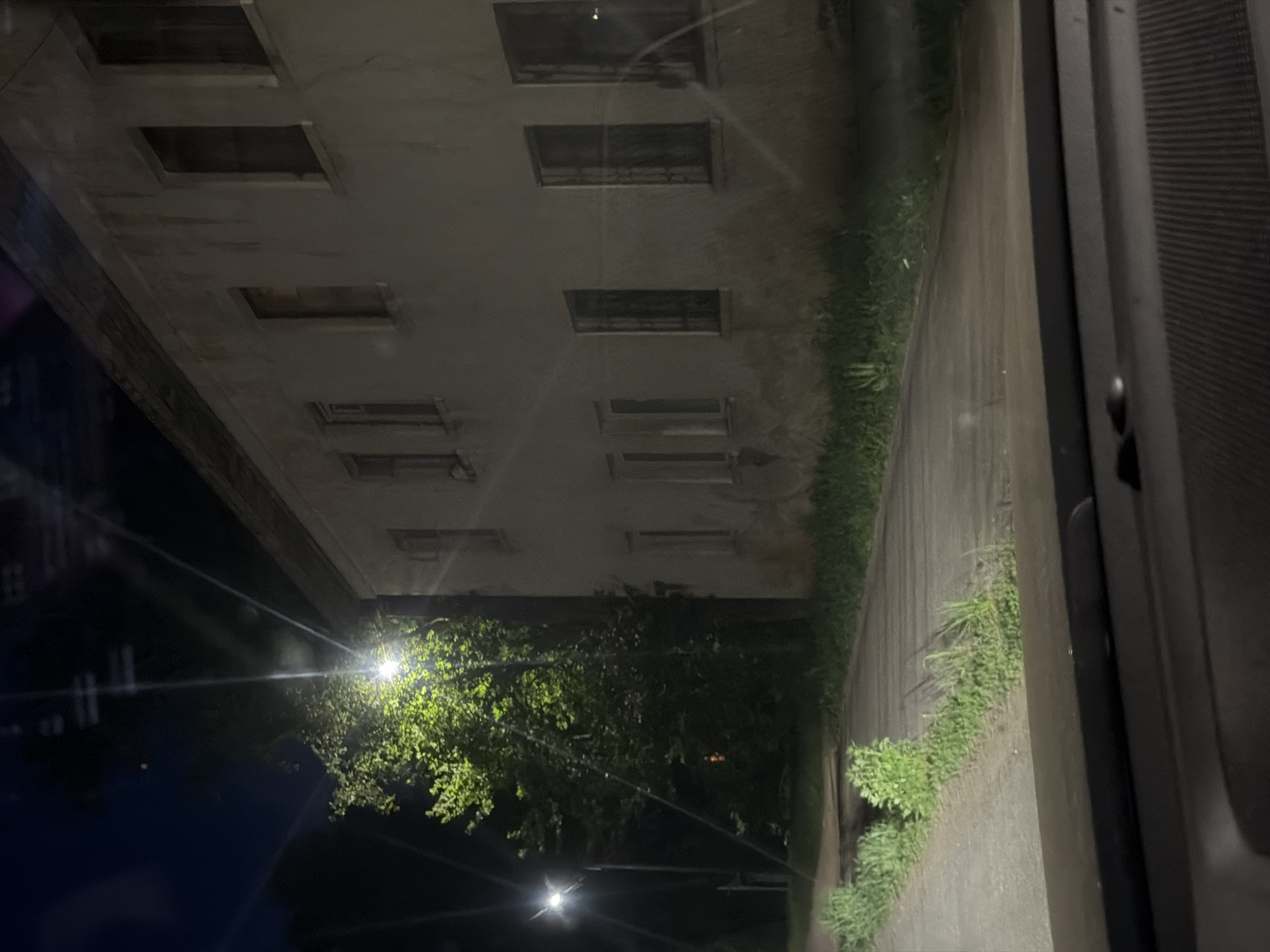 The image shows a view from inside a vehicle, likely a car, at night. Through the window, a multi-story building is visible with multiple rows of rectangular windows. A sidewalk runs along the base of the building, with grass and vegetation growing along the edge. Streetlights illuminate the trees and sidewalk in front of the building. The location is Chaikovsky, Russia.