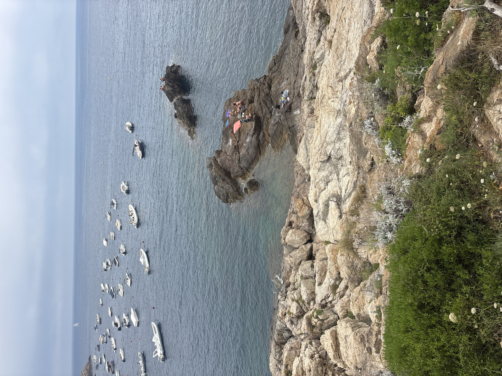 The image depicts a coastal scene with a rocky coastline and the sea. A multitude of small boats are anchored in the calm, blue water. In the foreground, rough, tan-colored rocks are covered with sparse, dry vegetation. In the middle ground, a larger rock formation extends into the sea, with several people sunbathing and relaxing on its surface. Further out in the water, a few more people are visible on a smaller, isolated rock. The horizon is hazy, with a soft, overcast sky. The location is likely a cove or bay near Begur, Spain, given the typical Mediterranean coastline and the presence of recreational boats.