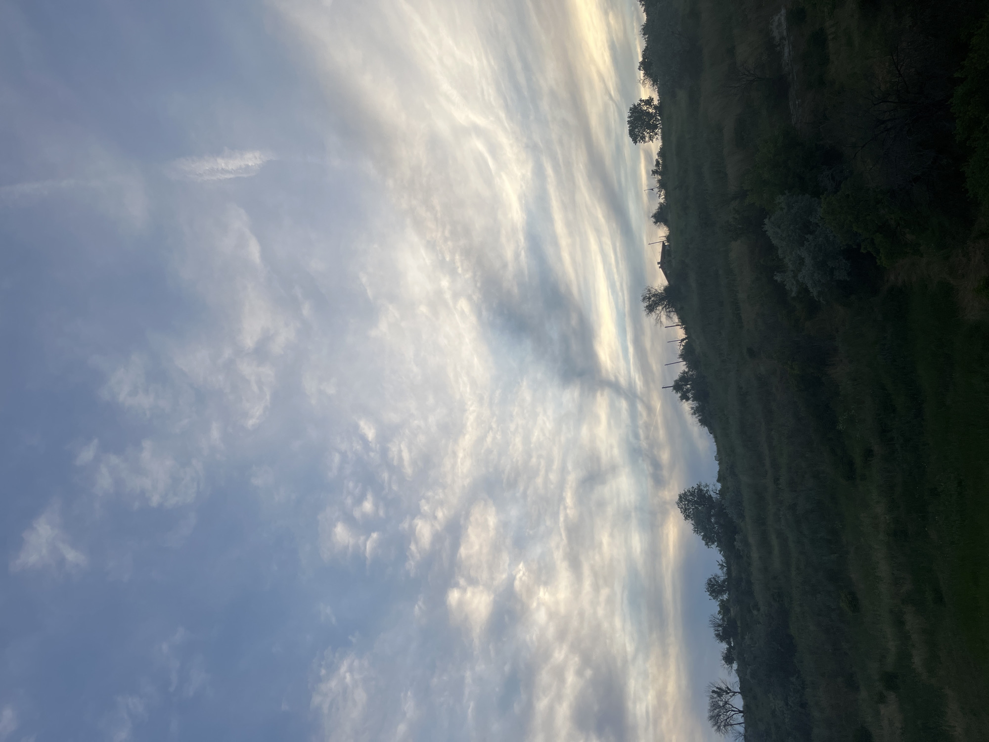The image captures a pastoral landscape under a dynamic sky. The foreground features a densely vegetated hillside, covered in a mix of grasses, shrubs, and scattered trees. A few bare trees are visible on the crest of the hill, along with what appears to be a small, rustic building or structure. The sky is filled with a variety of clouds, ranging from wispy cirrus formations to more textured, layered clouds, with hints of sunset colors near the horizon. The lighting suggests either early morning or late afternoon.
This scene is located in the area of the Varna Observation Deck (also known as the Varna Observatory or the Astronomical Observatory "Nikolai Kopernik") in Varna, Bulgaria. The elevated position offers panoramic views of the surrounding natural landscape and the city beyond.