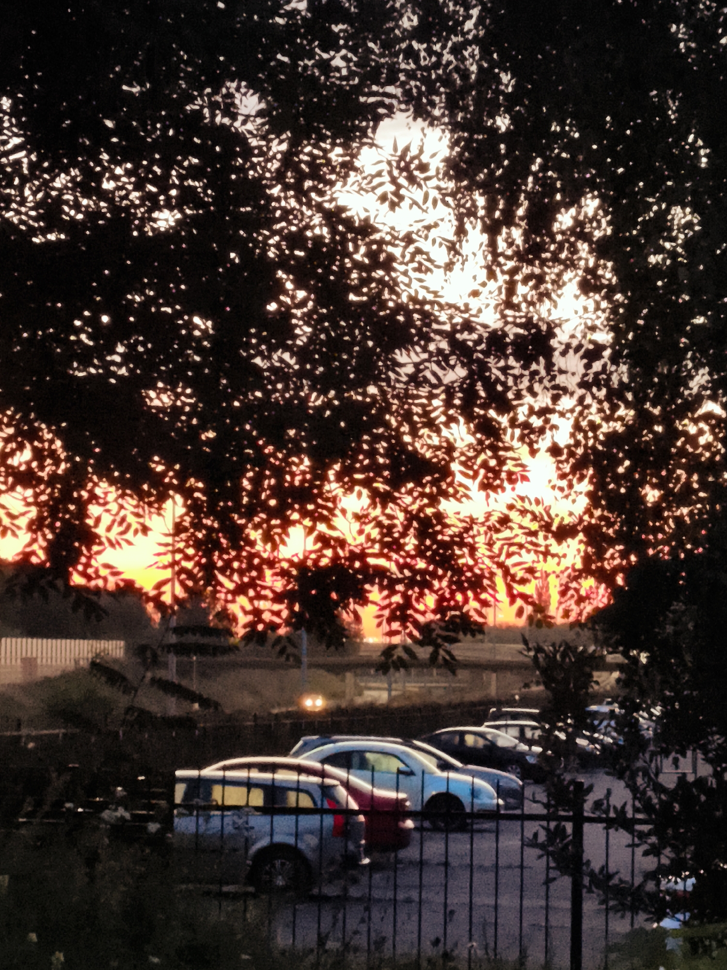 A low-angle shot captures a sunset viewed through the silhouette of tree branches and leaves. The sky is a vibrant gradient of orange and yellow, with the light filtering through the foliage, creating a dappled effect. Below the trees, a parking lot is visible with several cars parked. In the foreground, a dark metal fence runs horizontally across the frame, partially obscuring the cars. The cars appear to be a mix of sedans and SUVs, and one station wagon is prominently featured on the left, its windows illuminated by the sunset. In the background, a building with vertical white slats can be seen, along with a hint of a roadway and some distant lights, suggesting an urban or suburban environment. The overall impression is one of a tranquil, late-day scene. The presence of cars and a building indicates a developed area, possibly a residential or commercial zone within the city of Gdańsk, Poland.