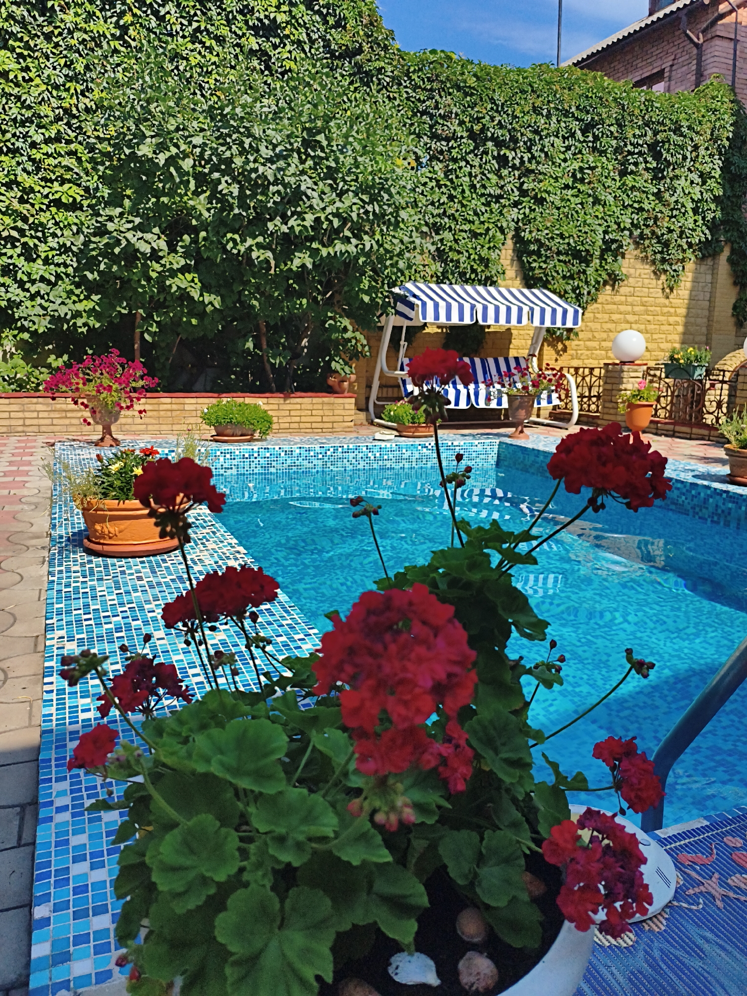 This is an outdoor scene of a residential swimming pool area. The pool is filled with bright blue water and is surrounded by a tiled edge. In the foreground, several potted plants with red flowers are in bloom. A swing set with a blue and white striped canopy is visible in the background. The area is enclosed by a brick wall covered in green ivy. The sky above is clear and blue. The scene appears to be in a backyard or garden setting.
