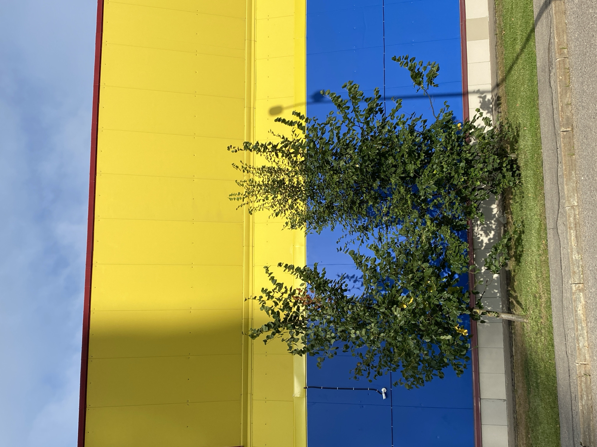 An exterior medium shot captures two small, leafy trees in a grassy area directly in front of a large building with a bold color scheme. The building features a prominent yellow upper section and a bright blue lower section, separated by a thin red trim. The yellow section is partially covered by a large shadow, suggesting sunlight is coming from the left. A security camera is visible mounted on the blue section of the building, to the left of the trees. The ground in front of the grass is paved with asphalt and a concrete curb. The sky above is blue with scattered clouds. The scene is captured from a low angle, emphasizing the scale of the building.