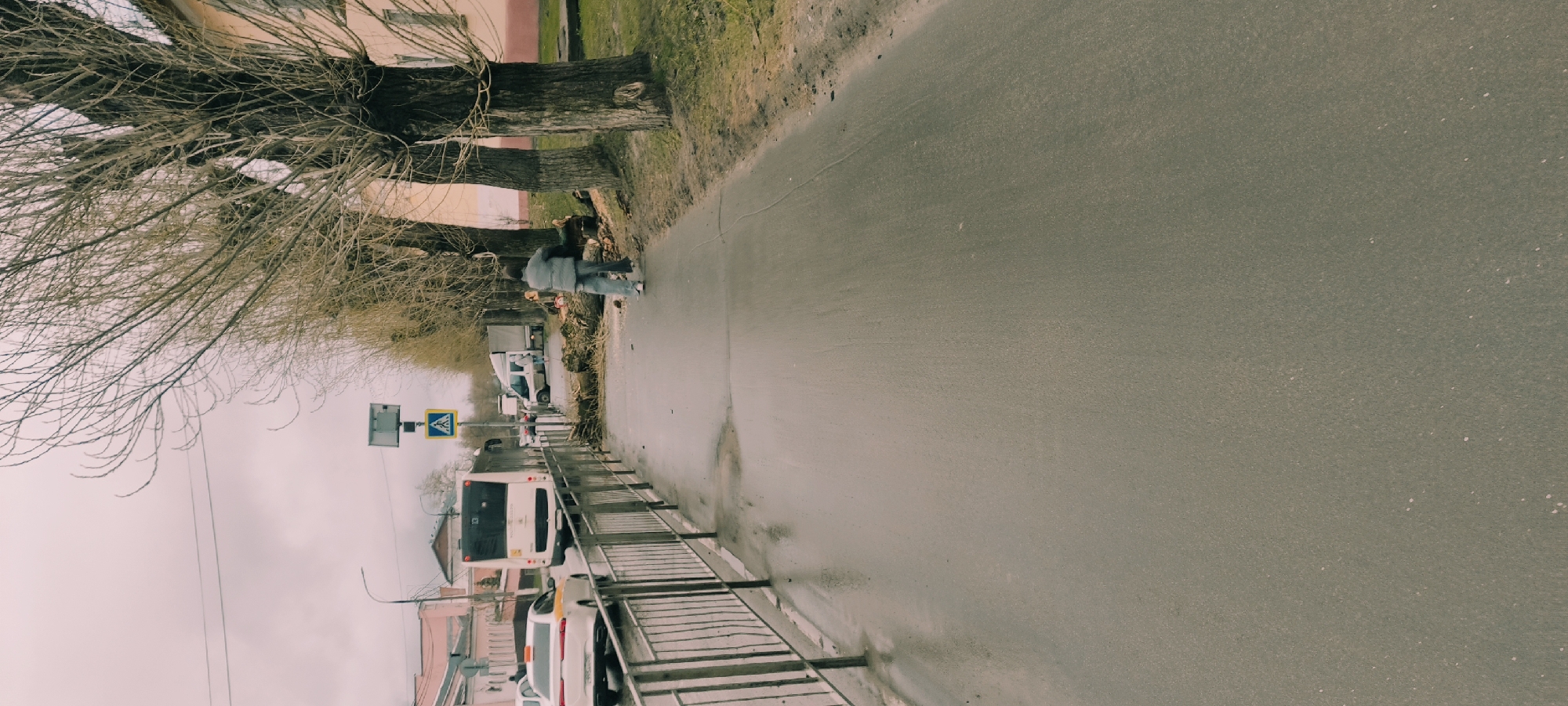 The image depicts an overcast street scene in Fryazino, Russia, likely during late autumn or early spring, given the leafless trees. The perspective looks down a street where an asphalt road, appearing damp in sections, extends into the distance.
On the left side of the road, a sidewalk runs parallel, bordered by an earthen strip and a row of large, mature trees with thick, bare trunks and intricate, defoliated branches. A single person, dressed in a light grey jacket and blue jeans, stands on this sidewalk, seemingly looking downwards or at something near their feet. Behind the trees, parts of light-colored residential buildings are visible.
To the right of the asphalt road, a metal barrier fence runs along the street. Several vehicles are present on the road, including a white bus prominently displaying the number "10" on its rear, a white car (possibly a taxi), and a white van further down the street. Above the vehicles on the left, a blue pedestrian crossing sign with a white triangular symbol is mounted. The sky is uniformly grey and cloudy, casting a muted light over the entire scene. The overall impression is one of typical urban activity under cool, damp weather conditions.