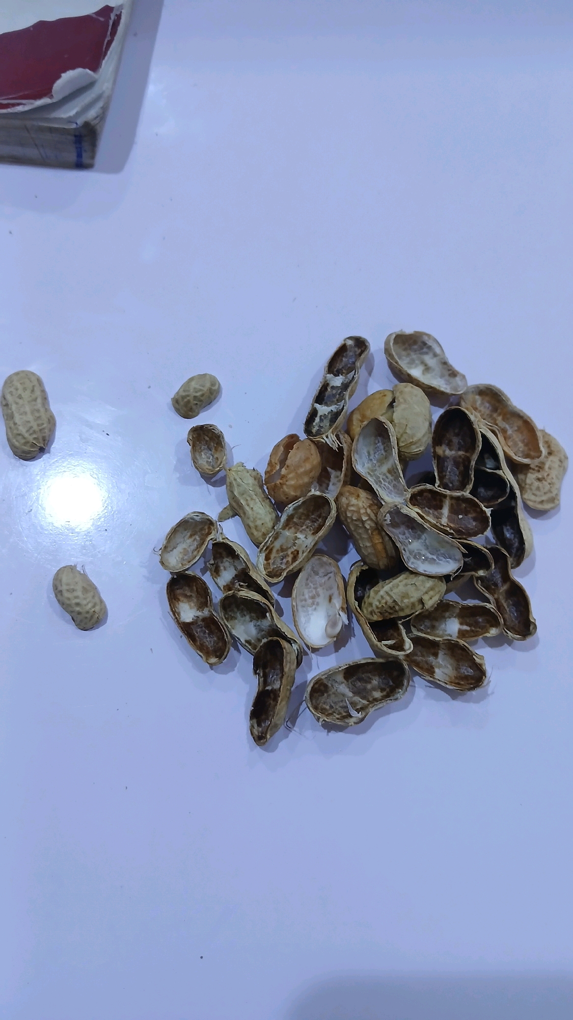 The image shows a pile of empty peanut shells and a few whole peanuts on a light-colored, smooth surface, likely a table. The peanut shells are varied in color, ranging from light tan to a darker brown, and many are cracked open, revealing the inner surface. Some of the shells still have remnants of peanut skins attached. In the upper left corner of the image, a portion of a book or binder with a red cover is visible. The surface is illuminated by a bright light source, creating a reflection on the left side of the frame. There are no people or animals in the image. The context of Gura Top, Nigeria is not visually represented in this image; the scene is limited to the objects on the table and the book.