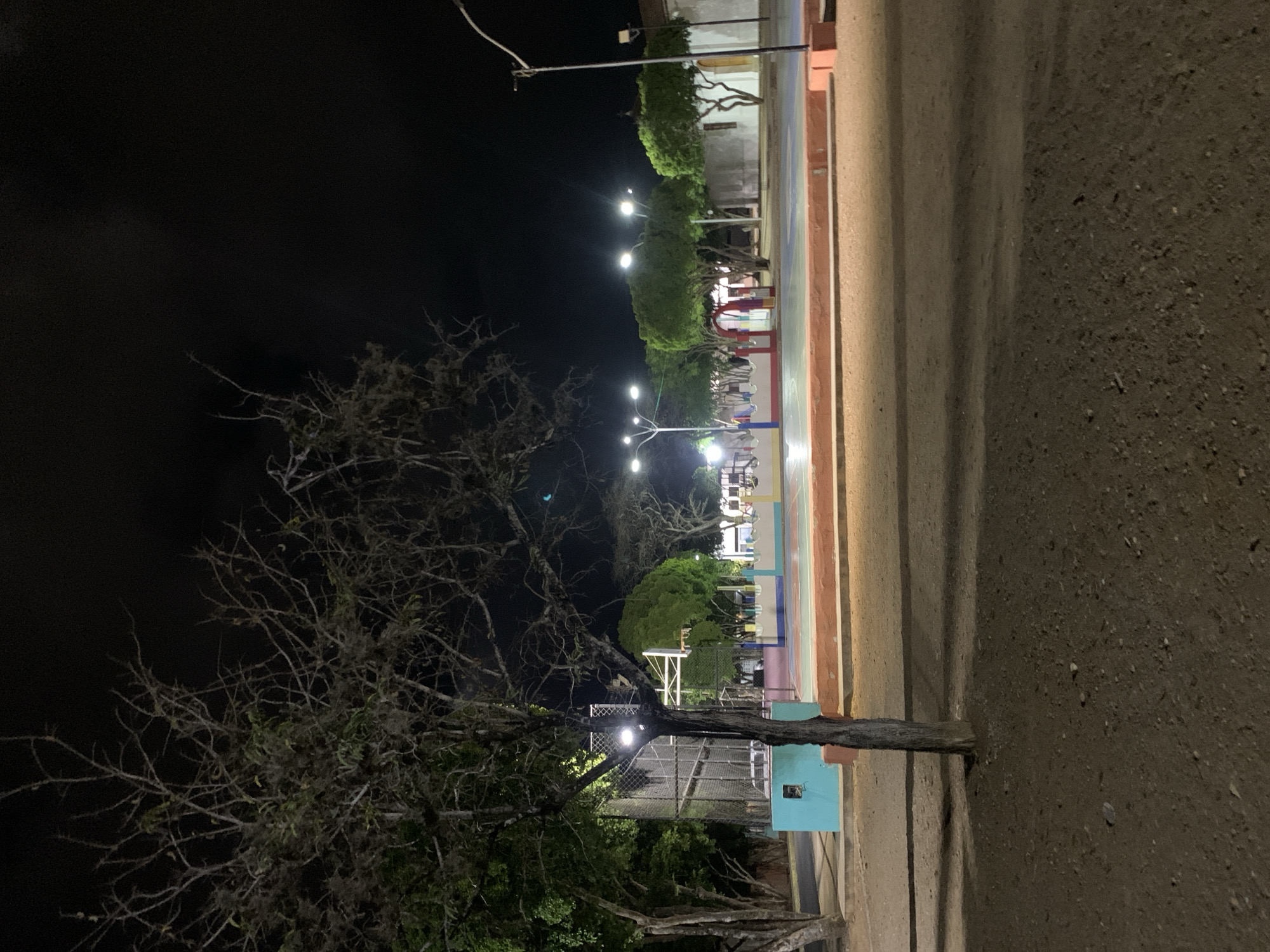 A nighttime scene shows a park or plaza in Santa Ana, Venezuela. A bare tree is in the lower left corner, illuminated by streetlights. Beyond the tree, a park area is visible, lit by multiple streetlights. A basketball court with a fence is discernible, also illuminated by artificial lighting. The right side of the image shows a rough dirt road or sidewalk, with a painted wall or building structure adjacent to it. The sky is dark, suggesting it is nighttime. The overall impression is that of a quiet, lit-up park area at night in Santa Ana.