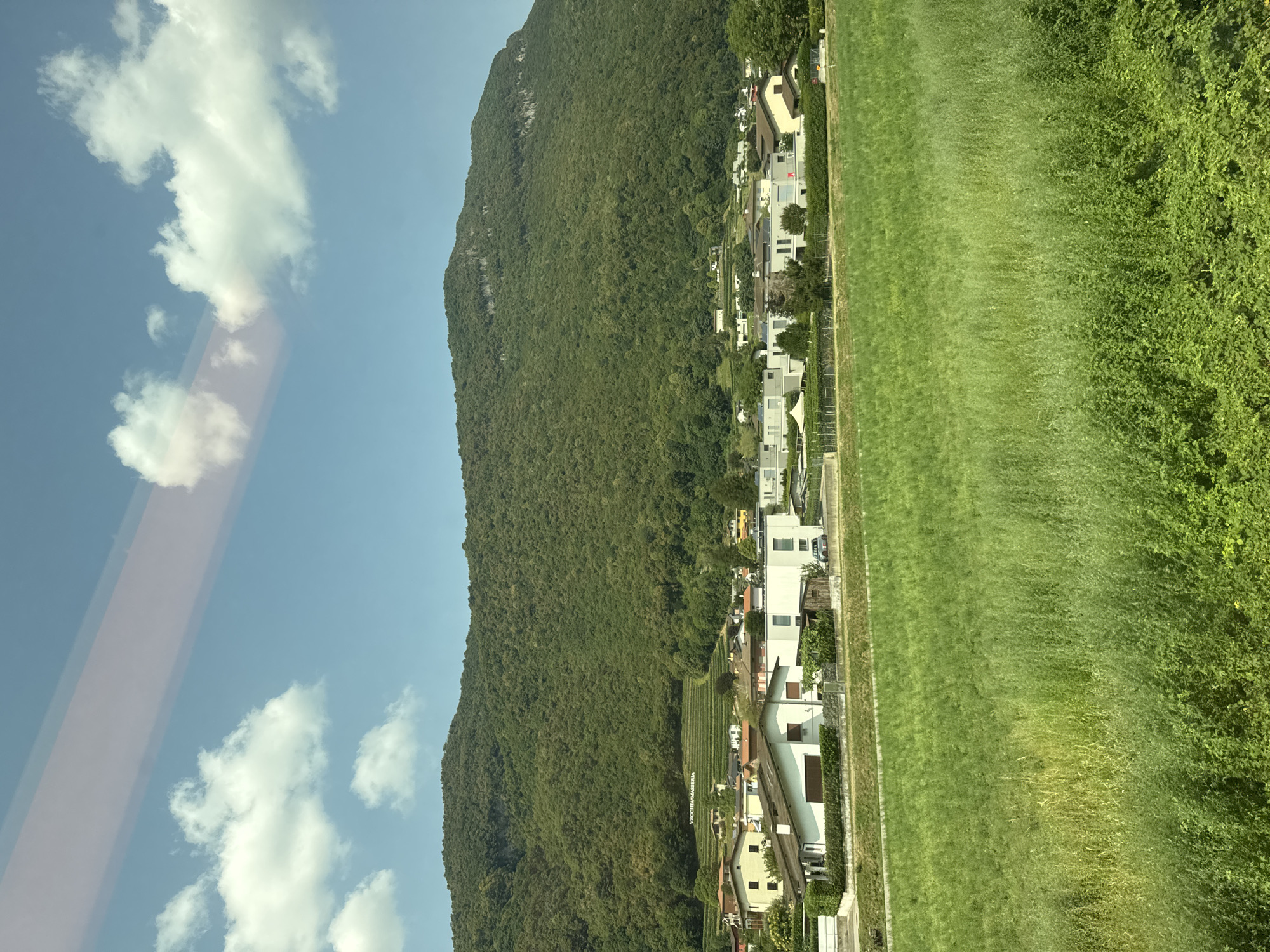 An eye-level, long shot captures a residential area at the foot of a heavily wooded mountain. The sky is a clear, bright blue with fluffy white clouds, and a pinkish-white horizontal reflection stretches across the upper portion of the image. In the foreground, a vibrant green field of tall grass stretches across the frame. Behind the field, a row of low-rise buildings with white and beige facades forms a residential neighborhood. Several houses have red-tiled roofs, and solar panels are visible on some rooftops. A few cars are parked in front of the buildings. A steep, densely forested mountain dominates the background, with terraced vineyards visible on its lower slopes, marked with the white text "VECCHIA MAISERIA". The scene appears to be located in Riva San Vitale, Switzerland, given the distinctive mountain and vineyard landscape. There are no people visible in the image.