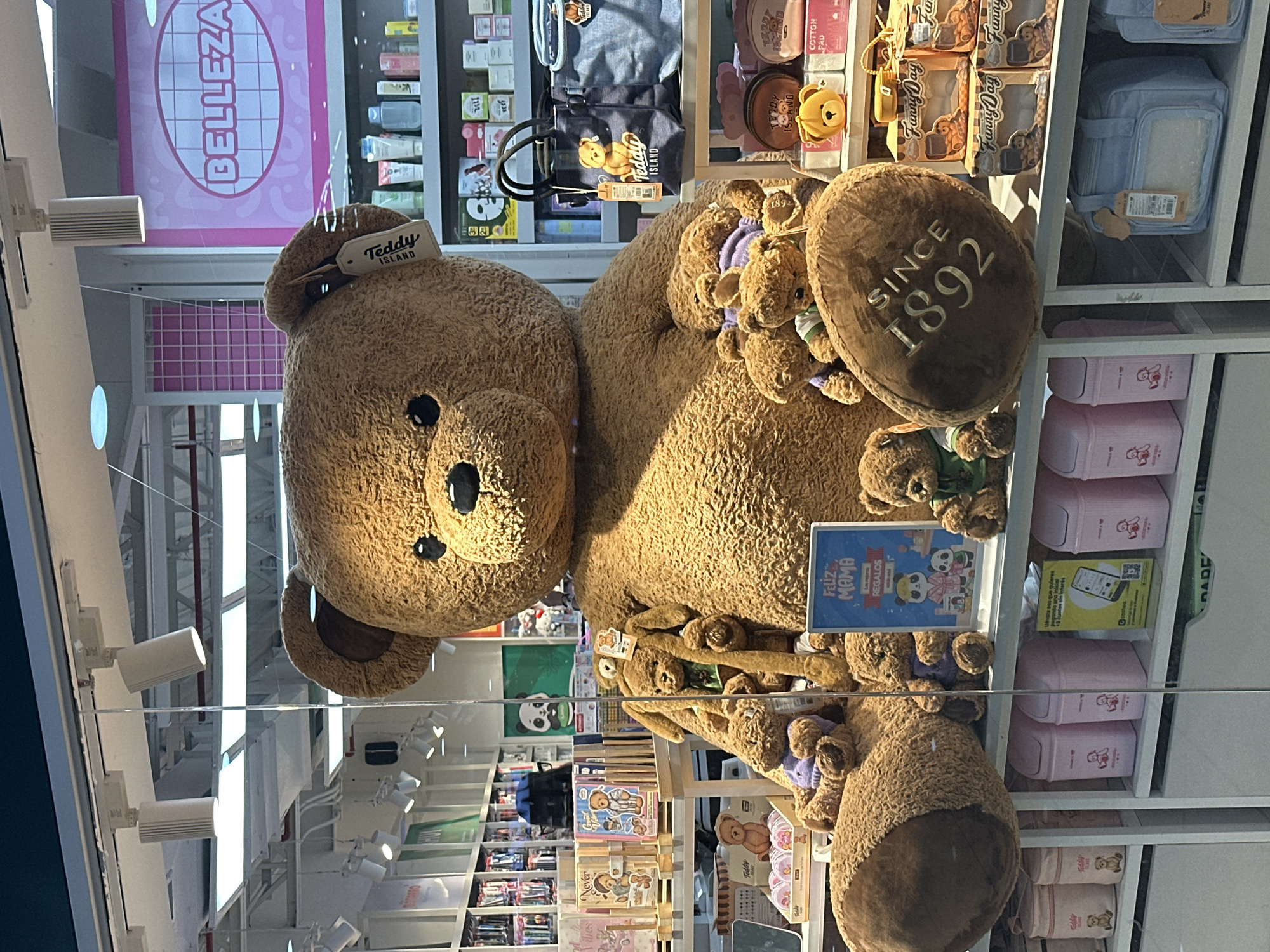 The image shows a storefront display for a "Teddy Island" store. There is a large teddy bear in the window display, with smaller teddy bears surrounding it. The sign on the bear reads "Since 1892". Other products, including purses, bags, and boxes, are also displayed on shelves in the background. The storefront also has a sign that says "Belleza" which is Spanish for beauty. Based on the visible text in Spanish, and the presence of Teddy Island, it's likely the store is located in Caracas, Venezuela. The store appears to be selling teddy bears and related merchandise.