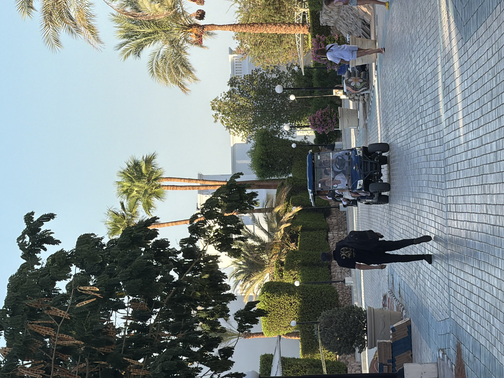 A man in a black t-shirt and black pants is walking away from the camera on a paved walkway. He is carrying a black backpack over his right shoulder. He is walking towards a golf cart with several people inside, which is moving away from the camera down the walkway. The walkway is lined with manicured hedges, trees, and potted plants. In the background, there are white buildings and palm trees. The scene appears to be a resort or hotel complex in a sunny, outdoor environment. The location is identified as Sharm El Sheikh, Egypt.