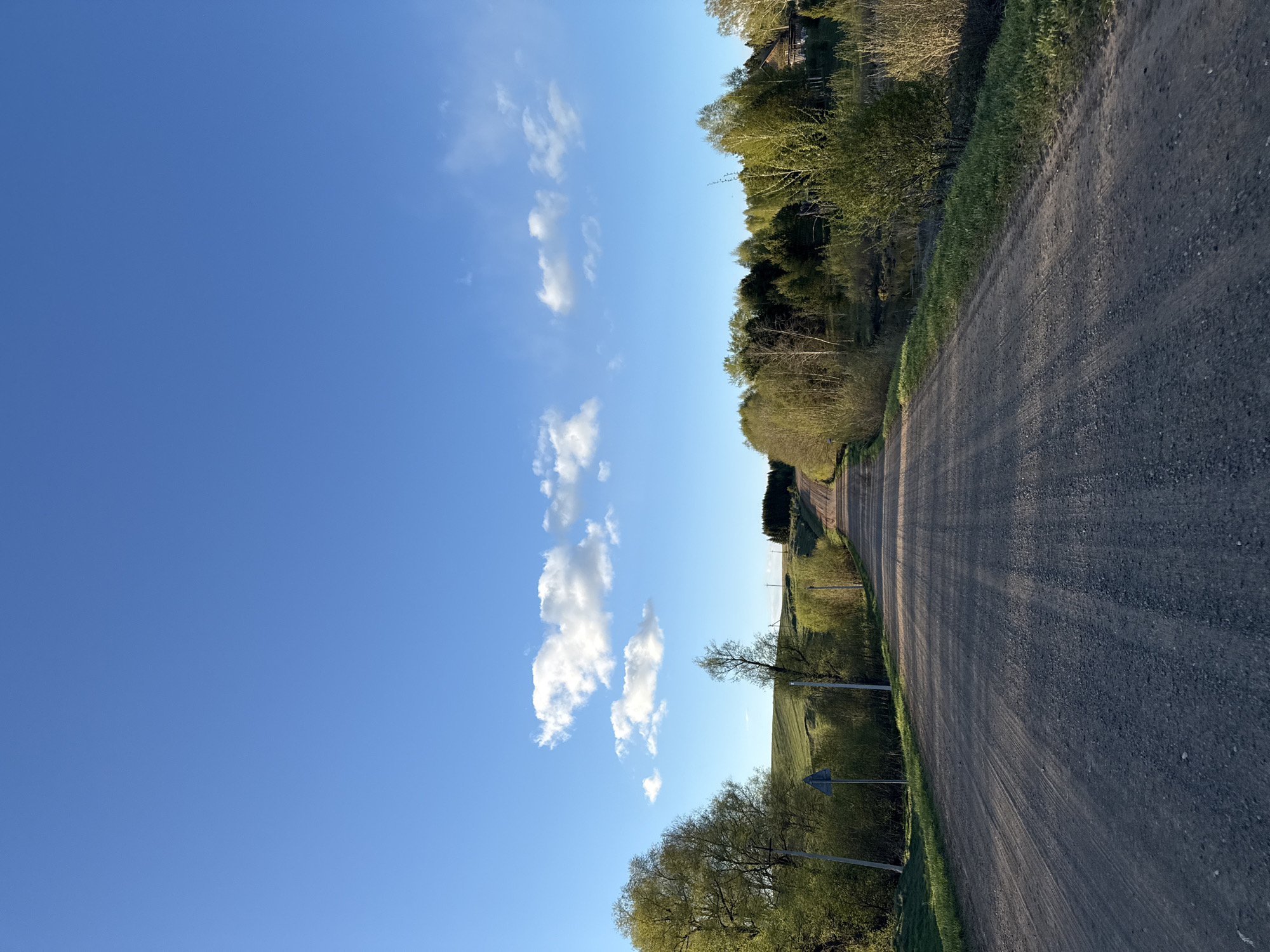The image shows a rural dirt road under a clear blue sky with scattered cumulus clouds. The road is flanked by trees and green vegetation. There are utility poles visible along the roadside. The image does not provide enough detail to confirm or deny that this is located in Batmany, Russia.