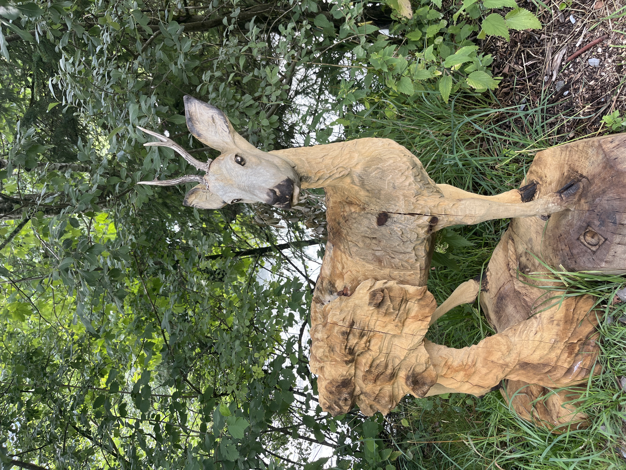 A full-shot, eye-level, outdoor, eye-level, medium-long shot captures a wooden sculpture of a deer in a natural setting. The sculpture is intricately carved from a light-colored wood, with visible grain and texture that mimics fur. The deer stands on a rough-hewn wooden base, which is partially embedded in green grass and dirt. The deer sculpture is facing to the right of the frame, with its head turned slightly towards the viewer. It has detailed antlers, expressive eyes, and a lifelike posture. The background consists of lush green trees and foliage, with hints of water or a sky peeking through the leaves. The overall impression is one of a rustic art installation blending harmoniously with its environment. The sculpture is located in the city of Wengen, Switzerland.