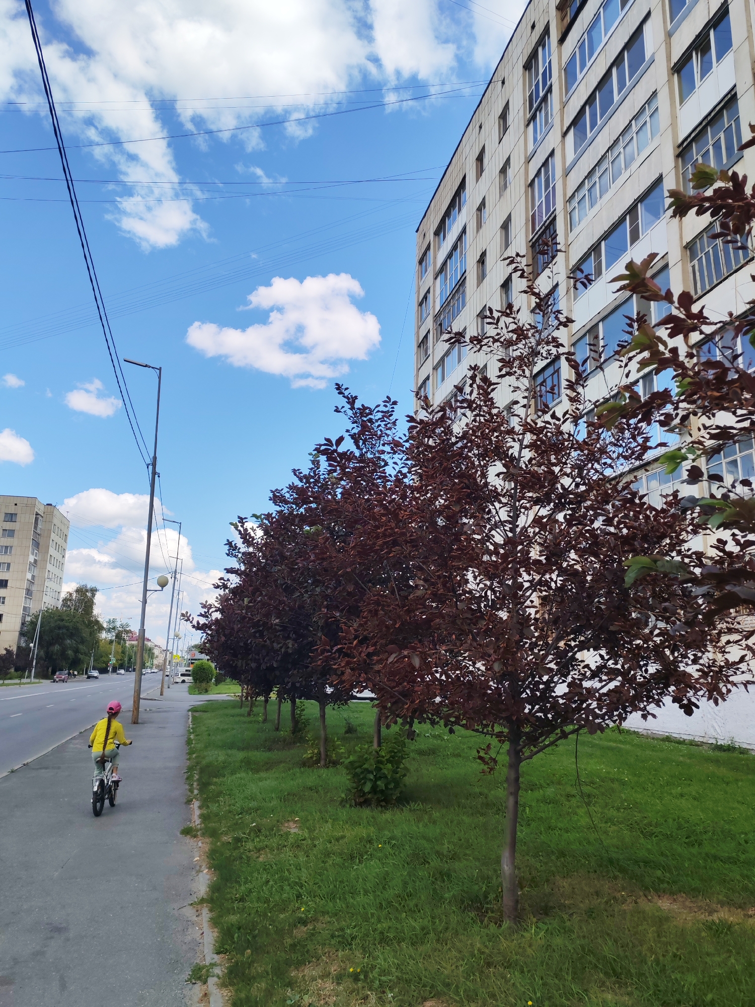 A young person wearing a yellow shirt and pink hat rides a bicycle on a gray sidewalk next to a grassy area. They are facing away from the camera. To the right of the sidewalk are several trees with dark red leaves. Behind the trees is a large, light-colored building with many windows. A street with cars is visible to the left of the sidewalk. The sky is blue with white clouds, and power lines stretch across the upper portion of the image.