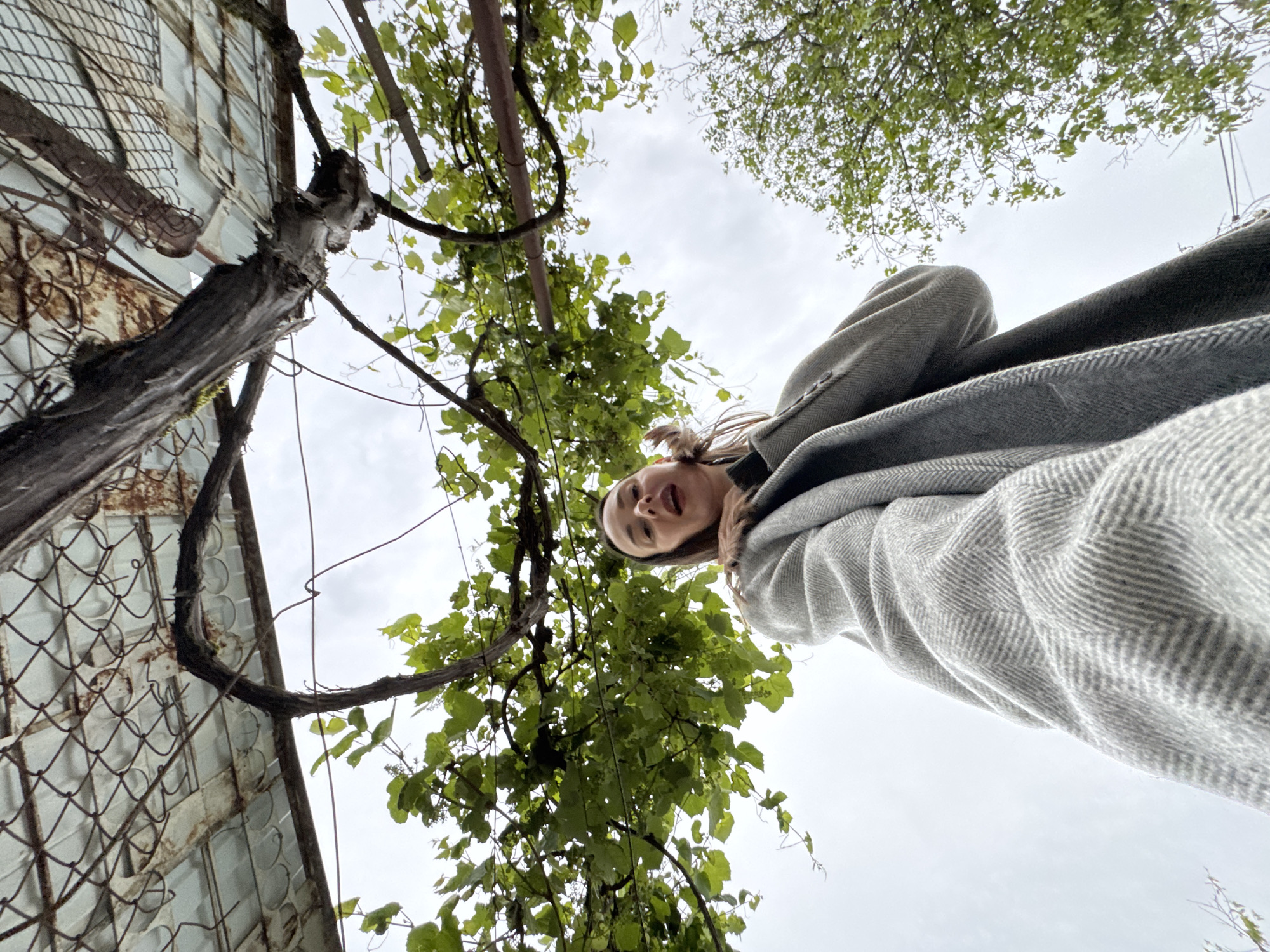 A low-angle view captures a woman in a herringbone-patterned gray coat, positioned against a backdrop of lush greenery. The greenery appears to be a vine, possibly grape, climbing a wire mesh fence. The sky, a muted gray, serves as the upper background. In the distance, a tree canopy is visible. This image was taken outdoors. The city of Sochi, Russia, is not detectable within the photograph.