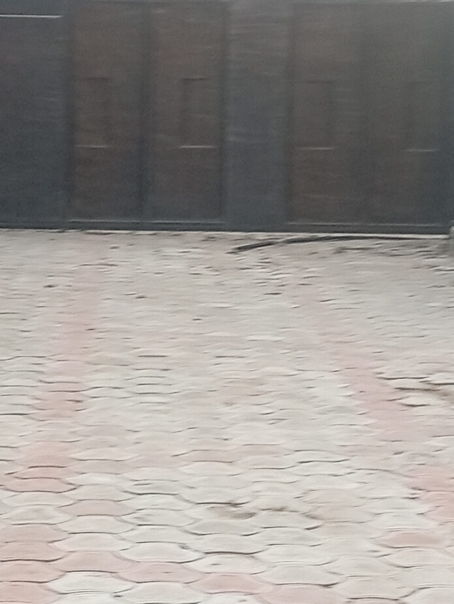The image depicts a dimly lit outdoor scene featuring a dark, imposing gate or wall made of what appears to be large, dark wooden panels. Subtle horizontal lines are visible across the panels, suggesting divisions or decorative elements. In front of the gate is a paved area with interlocking bricks laid in a wavy, brick-patterned design. The bricks are predominantly a light, neutral color with some hints of reddish-pink undertones. The lighting is subdued, casting a muted tone over the entire scene, and there is a slight blurriness to the image. The environment appears to be an exterior space, possibly a courtyard or driveway leading up to the gate. Given the context provided, this scene is located in the city of Jalingo, Nigeria. No people are visible in the image.