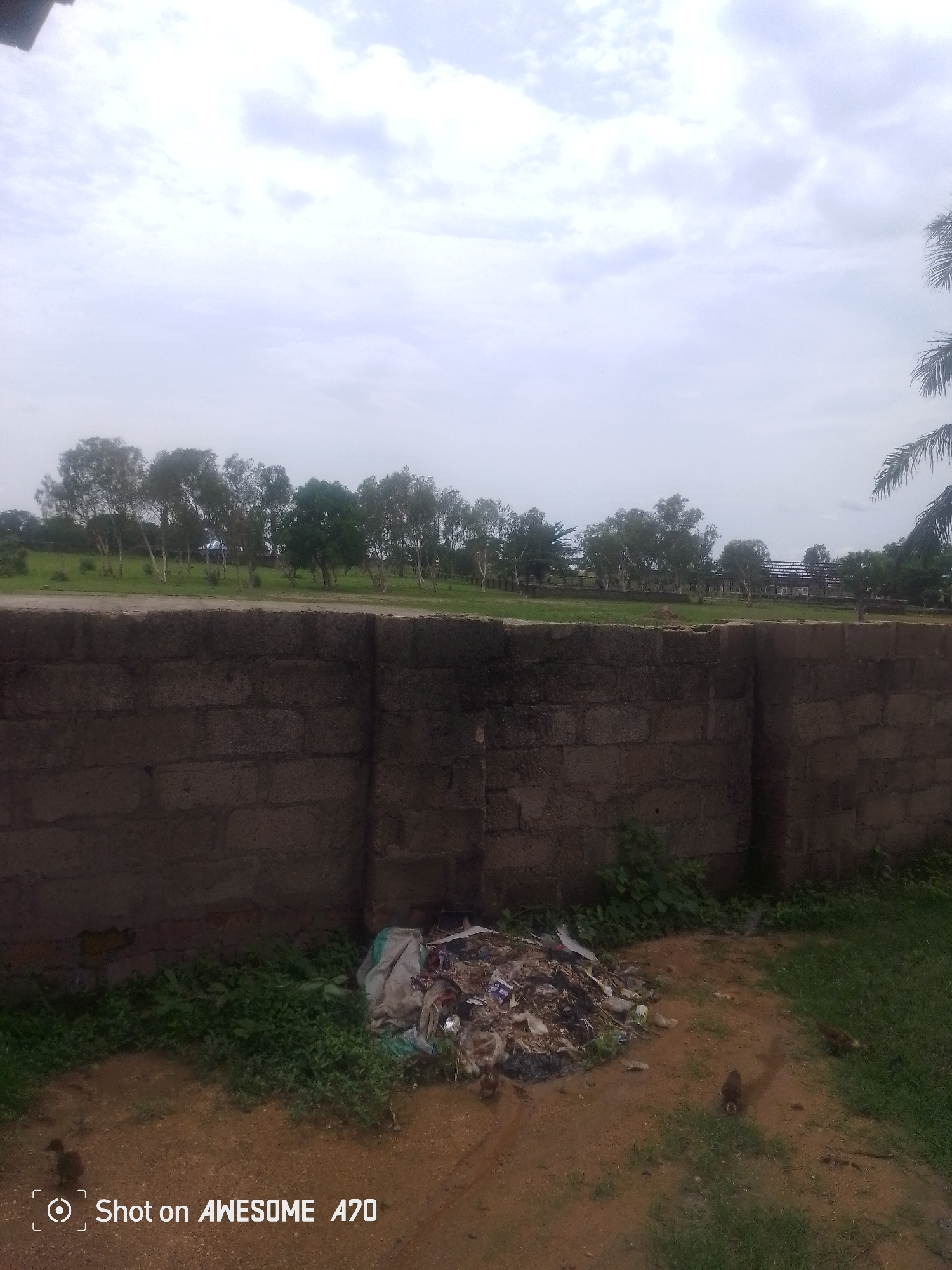 The image depicts an outdoor scene, likely in a somewhat rural or undeveloped area of Unknown, Unknown. In the foreground, a low, dark brick wall stretches across the frame. In front of the wall, a pile of refuse and debris is visible, consisting of plastic bags, paper, and other miscellaneous trash. To the right of the refuse pile, a patch of green grass meets the dirt ground. In the middle ground, behind the wall, is a grassy field with a line of trees in the background. The trees are varied in size and type, with some appearing taller and more mature than others. A building or structure with a dark roof is partially visible behind the trees on the right side of the image. The sky above is overcast with clouds, suggesting a cloudy or potentially rainy day. The overall impression is one of an outdoor area with some evidence of human activity in the form of the wall and the accumulated trash, contrasted with the natural elements of the field, trees, and sky.