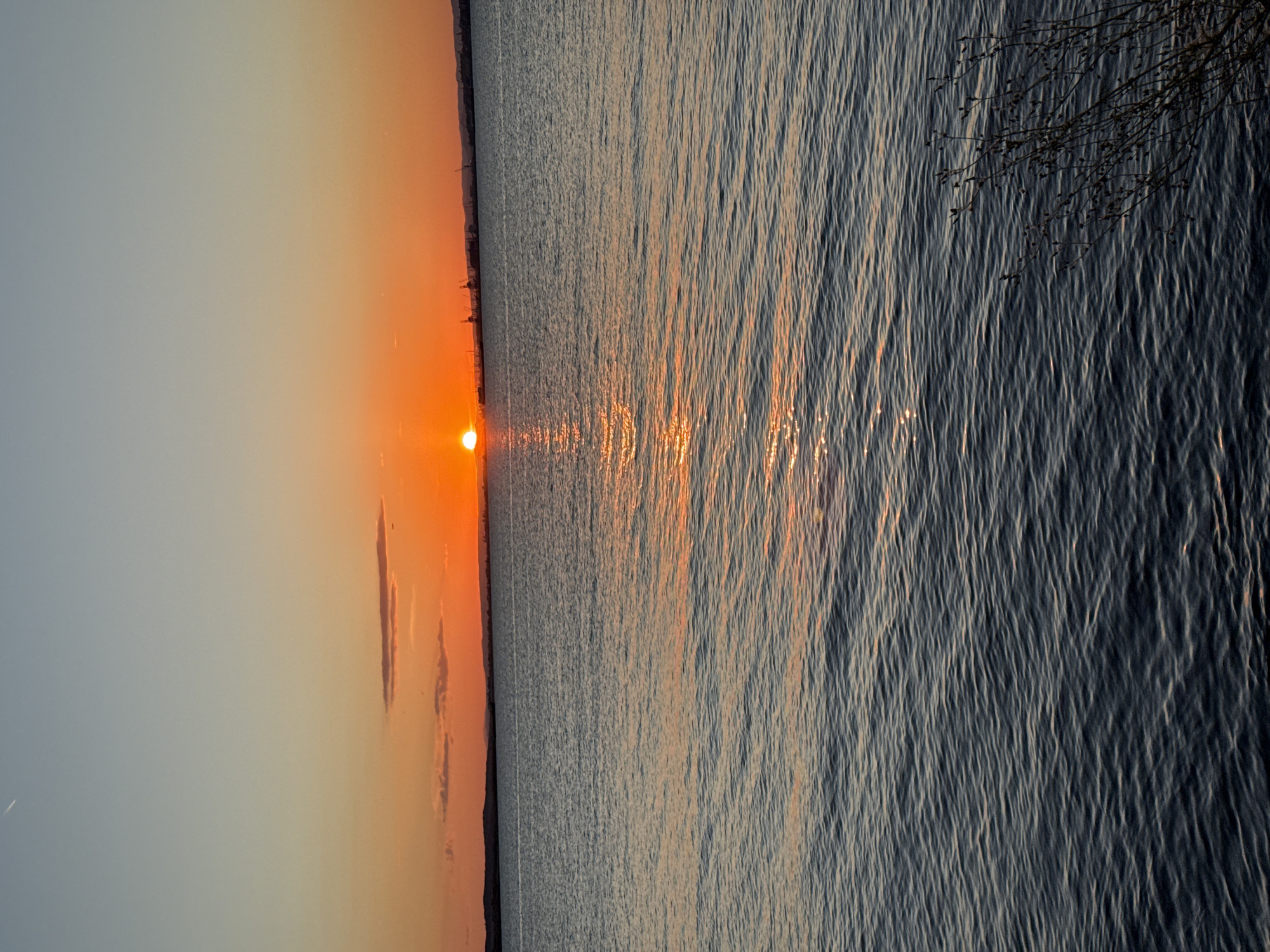 The image captures a serene sunset over the sea in Burgas, Bulgaria. The sun, a vibrant orange orb, is partially submerged on the horizon, casting a shimmering golden path across the rippling water. The sky transitions from a soft blue overhead to warm hues of orange and pink near the horizon, with a few wispy clouds scattered across the upper part of the frame. In the distance, a silhouette of the Burgas coastline is visible, featuring industrial structures like cranes, suggesting a port or industrial area. The foreground is dominated by the dark, textured expanse of the sea, with the gentle waves reflecting the colors of the sunset. A small, bare-branched shrub is visible in the bottom right corner, adding a touch of nature to the coastal scene.
