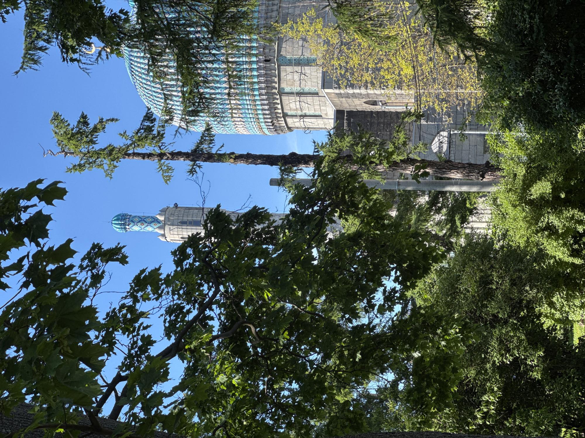 The image displays a partial view of the Saint Petersburg Mosque in Saint Petersburg, Russia, seen through dense foreground foliage under a clear blue sky.
The mosque's main dome, located on the right, is covered with intricate blue and white (or light blue) ceramic tiles arranged in vertical patterns. A golden crescent moon finial is visible at the apex of this dome. A tall, slender minaret with a similarly tiled blue dome at its top is positioned on the left side, its main shaft constructed from light grey stone. The visible facade of the mosque below the dome is built from large, rough-hewn light grey stone blocks, featuring arched windows with decorative accents.
The foreground is heavily populated with varied green vegetation. Large, broad-leafed deciduous trees with dark green foliage partially obscure the upper left and central portions of the view. Several coniferous trees, characterized by slender dark trunks and green needles, are scattered throughout the midground; one prominent, partially bare coniferous tree stands centrally. The lower section of the image is filled with dense, lush green bushes. Some brighter, yellowish-green foliage is visible near the mosque wall on the right, indicating different plant types or new growth.
The sky is uniformly clear and bright blue. Strong, natural sunlight illuminates the scene, highlighting the mosque's tiled surfaces and the upper canopy of the trees. No individuals, animals, or specific actions are present in the image.