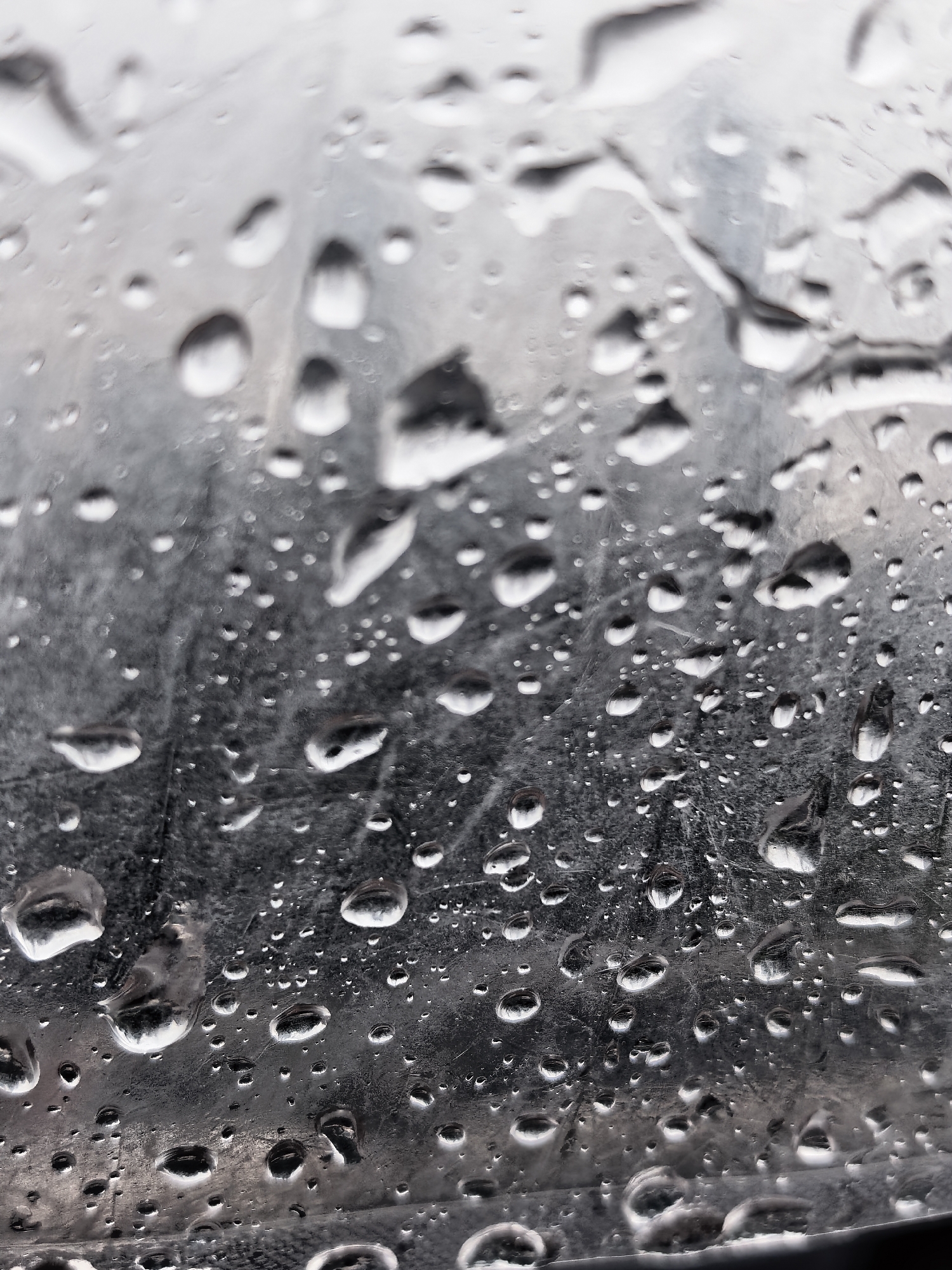 A close-up, abstract photograph captures numerous clear water droplets adhering to a textured, reflective surface. The droplets vary in size and shape, from small, distinct spheres to larger, irregularly shaped forms that appear to be coalescing. Each droplet reflects ambient light, creating bright highlights and subtle shadows, which give them a three-dimensional quality against the background.
The surface beneath the droplets is a metallic or glass material, characterized by varying shades of grey and a subtle sheen. It displays a fine, irregular texture, possibly brushed or worn, with faint lines and scratches visible between the water formations. The background beyond this immediate surface is intentionally out of focus, rendered as soft, blurred transitions of light and dark greys, which emphasizes the sharpness of the water droplets in the foreground.
The presence of the water droplets strongly suggests recent rain, condensation, or a wet surface. The lighting is diffused, contributing to the predominantly monochromatic color palette dominated by cool greys and whites. There are no people or specific activities depicted. No text is visible in the image. The scene, located in Sterlitamak, Russia, focuses on the intricate details and interplay of light on water and textured material, creating a tranquil and textural composition.