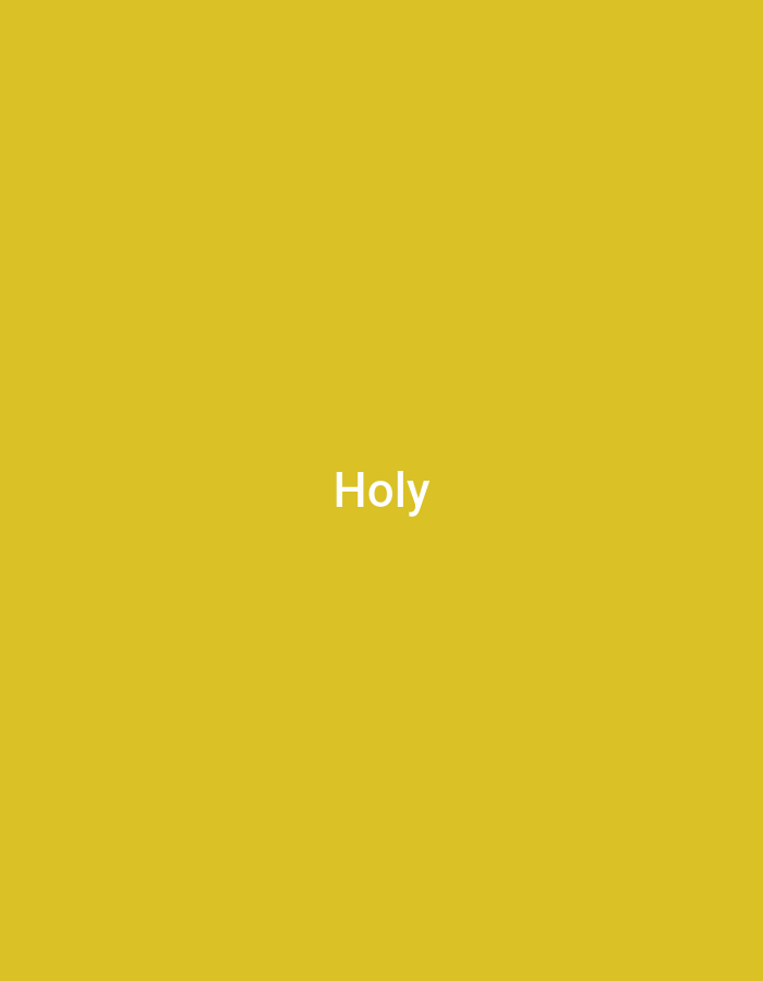 The image is a plain yellow background with the word "Holy" written in white text in the center. The word is capitalized and in a simple, sans-serif font.
