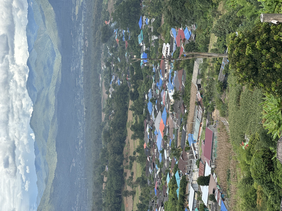 An elevated, panoramic view depicts the village of Ban Mai Saha Sampan, Thailand, nestled within a valley under an overcast sky. In the background, multiple layers of lush green, forested mountains extend across the horizon, gradually fading in hue due to atmospheric perspective. The midground features a wide expanse of dense forest and some cultivated fields. The foreground and lower midground are dominated by the village itself, a dense cluster of residential structures characterized by numerous multi-colored roofs, predominantly bright blue, light grey, and red, intermingled with dark green foliage. Patches of agricultural land, possibly cornfields, are visible between and around the houses. A prominent, vertical, light grey dead tree trunk stands in the right mid-foreground. No people or discernible actions are visible. The environment is rural, mountainous, and tropical.