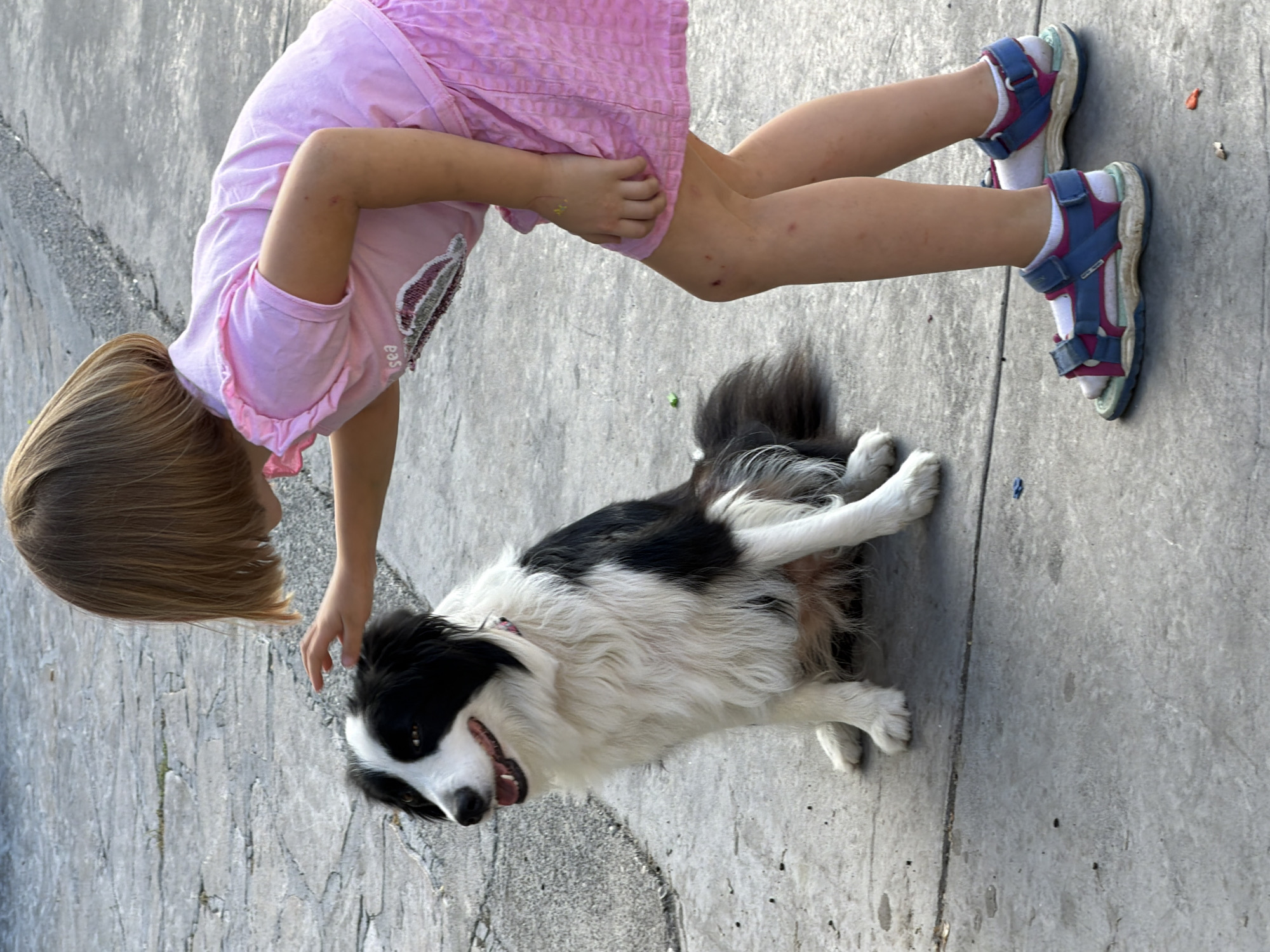 A young girl with blonde hair, wearing a pink t-shirt and a pink skirt, is petting a black and white Border Collie dog. The girl is leaning down towards the dog, with her right hand resting on its head. The dog is sitting on a grey concrete surface, looking to its left with its mouth slightly open. The background consists of a grey concrete pavement with visible lines. The overall scene appears to be outdoors.