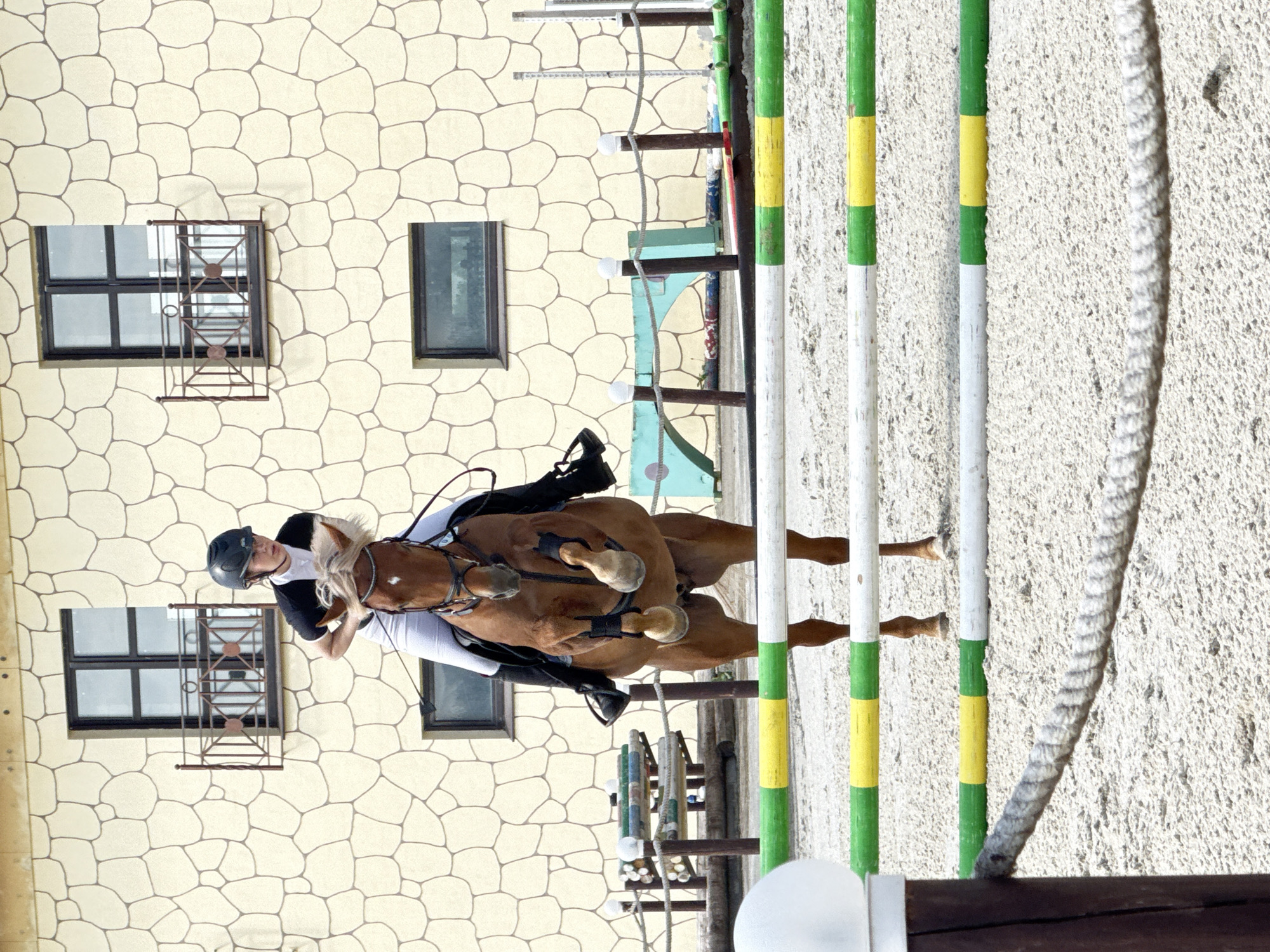 A young Caucasian female rider, wearing a black show shirt, white riding pants, black riding boots, and a black helmet, is captured in mid-air on a chestnut horse as it jumps over a series of colorful hurdles in an outdoor equestrian arena. The horse is in a powerful jumping position, with its front legs tucked and hind legs extended. The rider appears focused and in control, leaning forward to maintain balance. The arena ground is covered in sand. In the background, a light-colored building with a distinctive stone-like textured facade features several windows with dark frames and ornamental balconies. The sky is not visible. The scene is likely at a farm or equestrian facility.