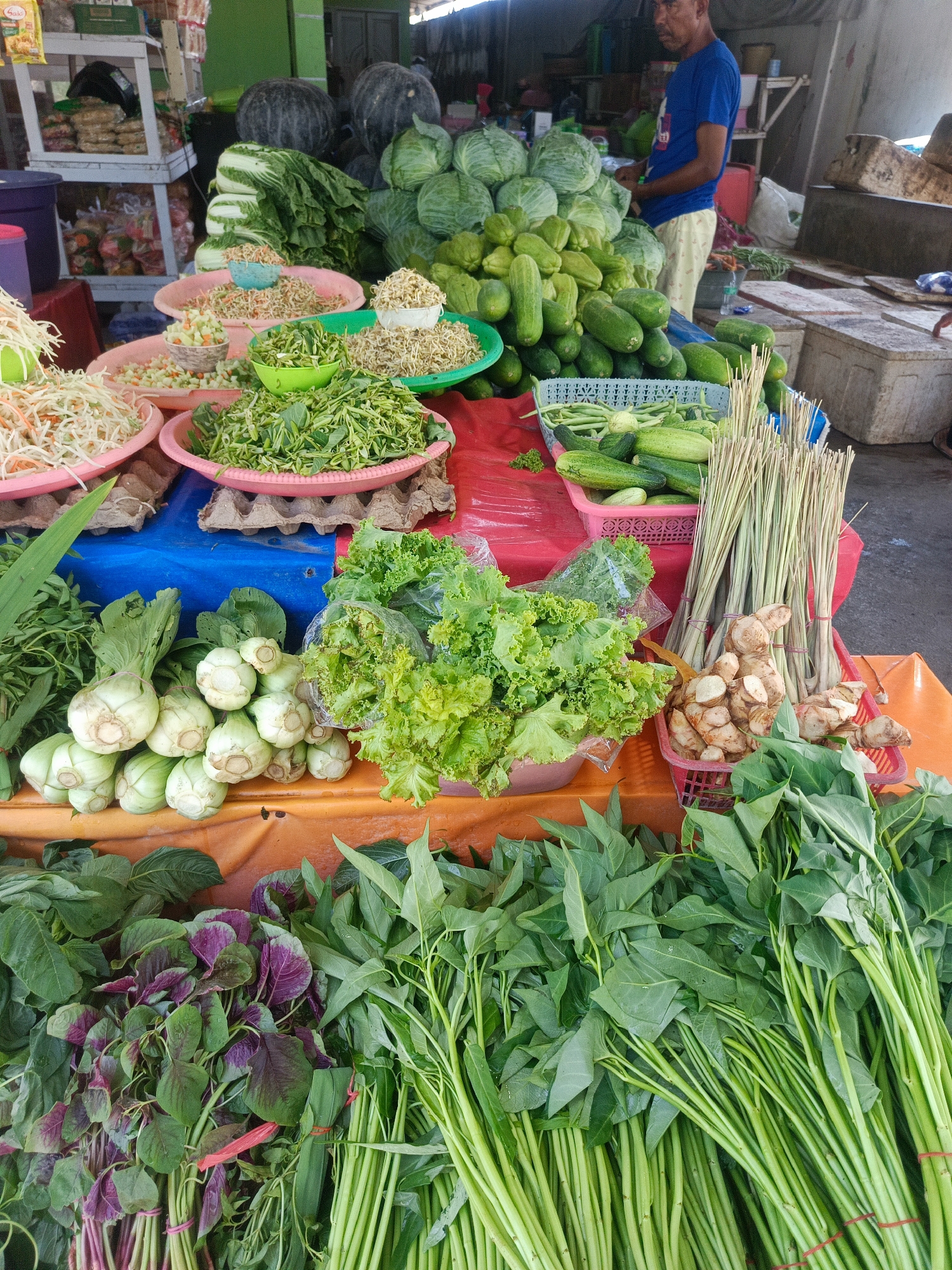The image depicts a street market scene in Tenggela, Indonesia, with a variety of fresh produce displayed for sale. A man, likely a vendor, is partially visible in the background wearing a blue t-shirt and light-colored pants, standing behind a selection of large green cabbages and pumpkins. The foreground is dominated by an assortment of vegetables arranged on tables and in baskets. These include bundles of leafy greens such as amaranth and water spinach, as well as heads of lettuce, cucumbers, and what appear to be baby bok choy. Several bins and bowls contain chopped vegetables and sprouts. Lemongrass stalks and galangal roots are also visible in a basket. The market appears to be outdoors, with the ground covered in tarps, and structures suggesting market stalls in the background. The overall impression is one of a bustling local marketplace.