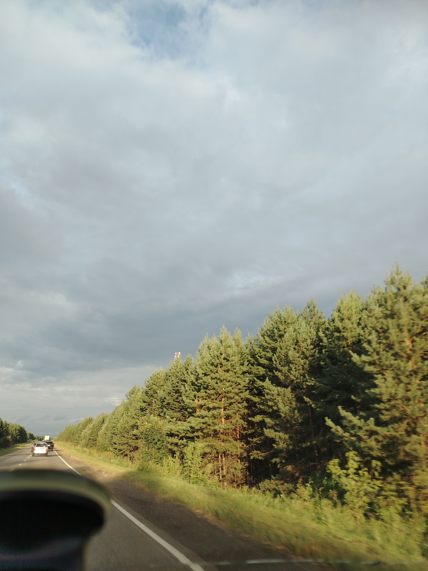The image captures a view from a moving vehicle on a highway, likely in the vicinity of Gol'yany, Russia. The road is paved and marked with a white line, with several cars traveling in the same direction. To the right of the road, a dense forest of coniferous trees stretches along the roadside. The sky above is overcast with gray clouds, but patches of lighter sky and sunlight break through in places, casting a soft illumination on the scene. A tall, slender tower, possibly a communication tower, is visible above the treeline on the left side of the image. The foreground is dominated by the blurred interior of the vehicle, suggesting the photo was taken while in transit.