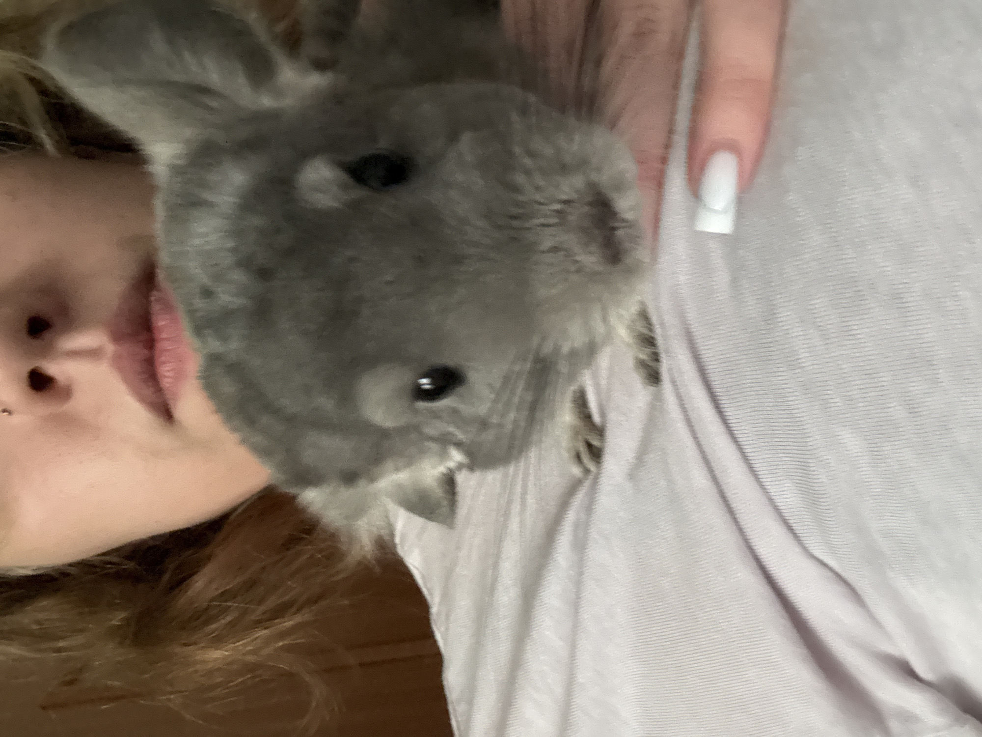 A close-up, head-and-shoulders shot shows a person's face and shoulders, with a chinchilla resting on their chest. The person's blonde hair is visible framing their face, and their nose and mouth are partially obscured by the chinchilla. The chinchilla, a fluffy grey rodent, is looking directly at the camera with large, dark eyes. The person is wearing a light pink t-shirt, and their right hand with a white-tipped fingernail is visible on the right side of the frame. The background appears to be indoors, with warm, brown-toned walls. The image does not provide any specific clues to its location within Almaty, Kazakhstan.