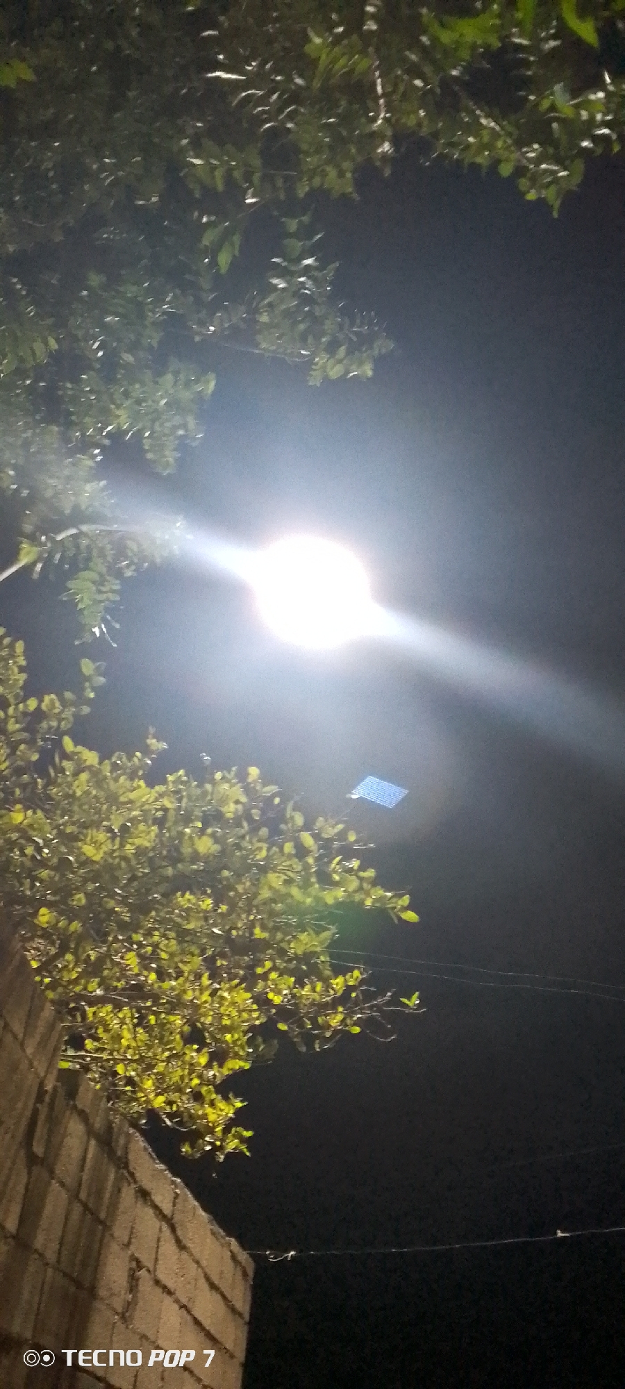 The image depicts a nighttime scene in Altagracia, Venezuela. A bright streetlight dominates the center of the frame, with lens flare extending outwards. Trees with lush green leaves are visible on the top and left of the frame, partially obscuring the light. In the foreground, the top of a brick wall can be seen. In the upper center, a small, square blue object is discernible near the streetlight. Power lines stretch across the dark sky. The image was taken with a TECNO POP 7 phone.