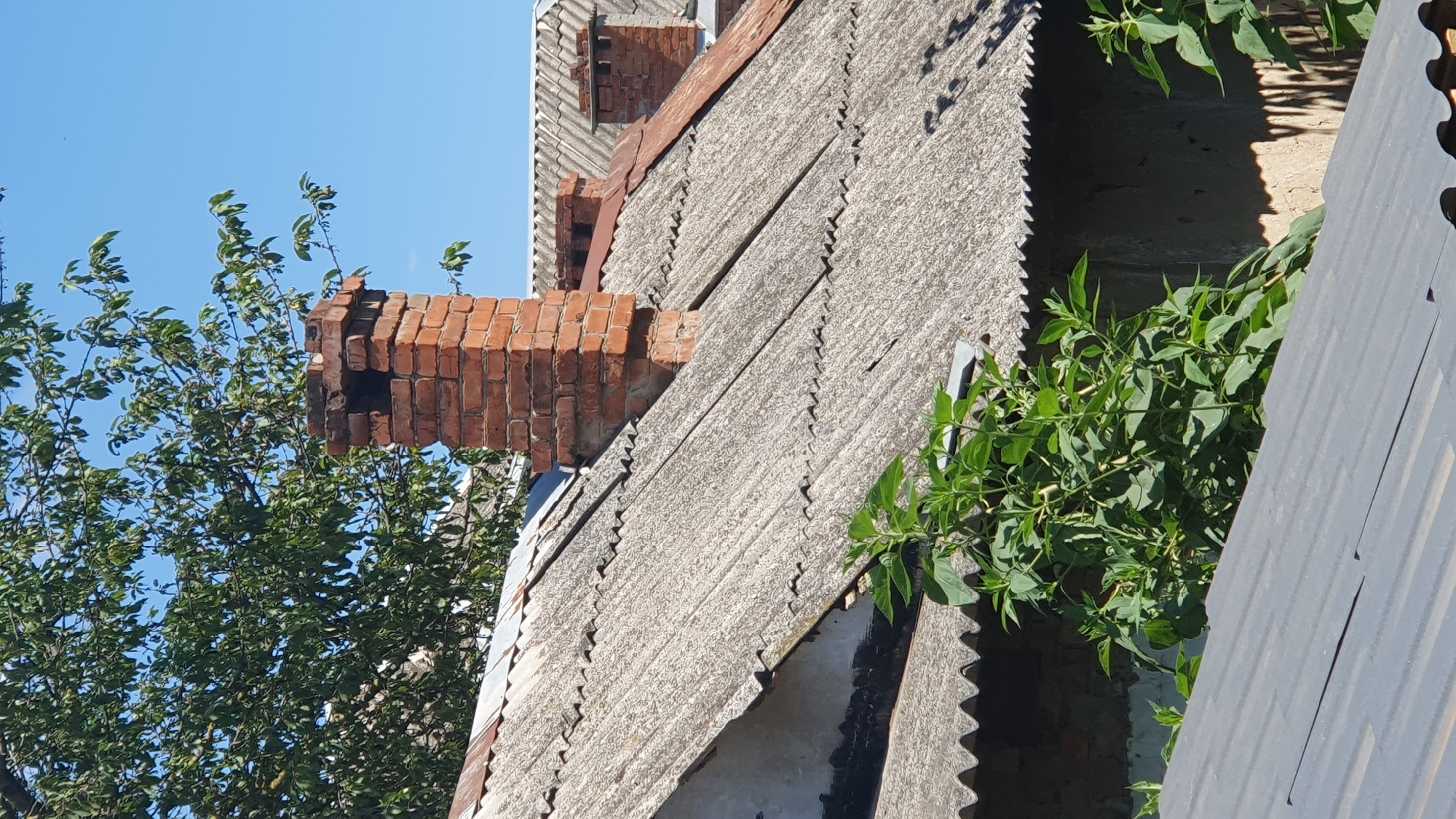 The image shows a close-up view of several rooftops with visible chimneys under a clear blue sky. The foreground features a section of a corrugated metal roof. Behind this, a weathered, gray, corrugated roof made of what appears to be asbestos cement sheeting covers the main structure. A prominent red brick chimney stands tall on this roof, showing signs of age and some missing bricks. Further in the background, another similar roof with a smaller brick chimney and a rusted metal element is visible, along with a third, distant chimney. Lush green foliage from a tree branches into the upper left portion of the image, and a dense green plant is growing in front of the main roof in the lower center. The scene depicts a residential area, likely in a city or town. Given the reference to Ust-Labinsk, Russia, it can be inferred this image captures a typical view of residential rooftops in that location. There are no people or animals present in the image.