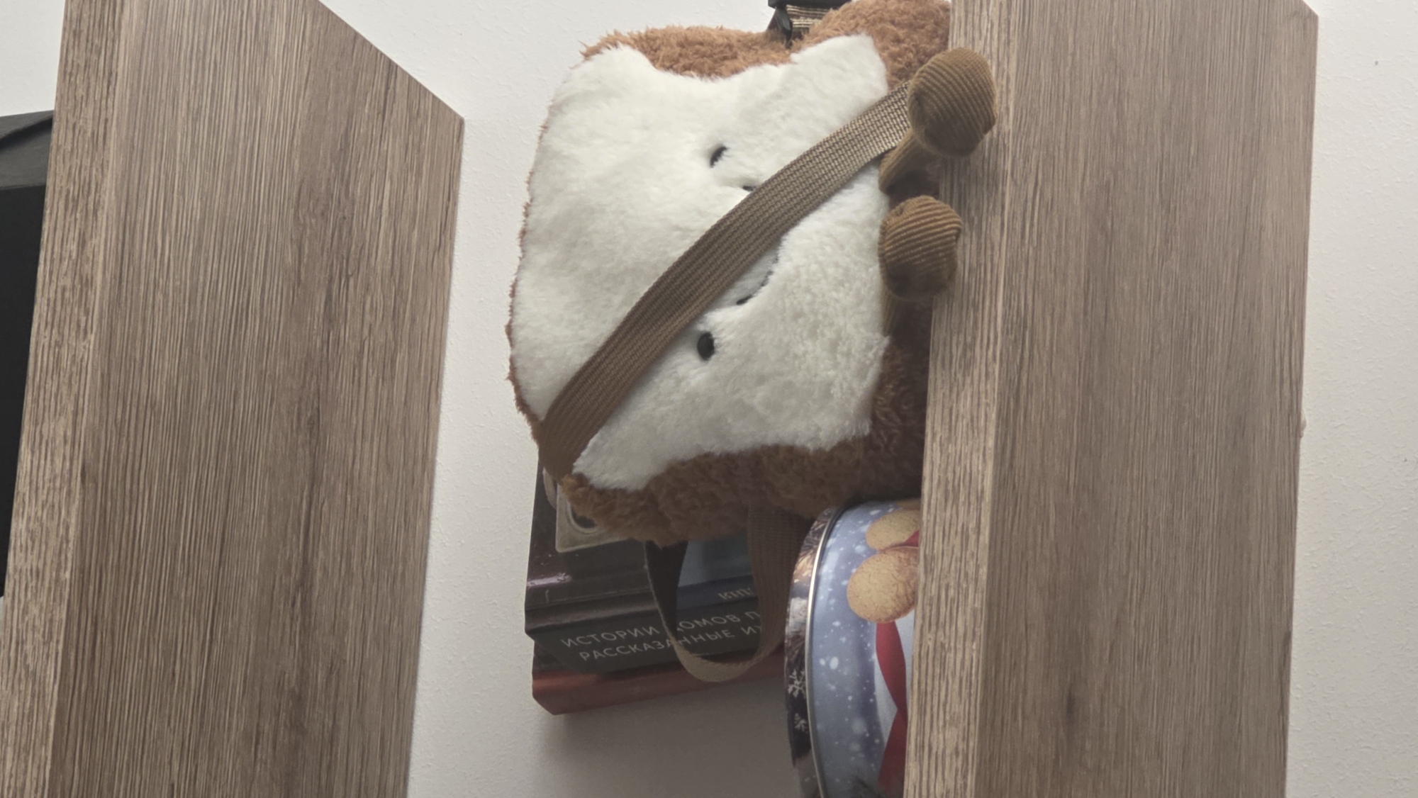 The image captures a close-up view of objects stored or displayed within a narrow space, possibly a shelf or cabinet opening. Two vertical panels with a light brown wood-grain texture frame the central subjects against a plain white wall.
The most prominent subject is a plush, stuffed toy positioned face-forward. It features a predominantly white face with soft, brown fur around the edges and on its body. Two small black eyes are visible on its face, which is partially obscured by a diagonal brown strap. On the upper right side, two rounded, ribbed, brown fabric protrusions, possibly ears or decorative elements, extend towards the right wooden panel.
Beneath the stuffed toy, a stack of books is visible. The spine of one book, red in color, displays Cyrillic text. Fragments of the title can be deciphered as "ИСТОРИИ", "ОМОВ", and "РАССКАЗАННЫЕ И". To the right and below the books, a round, decorative tin is partially visible. It has a blue background adorned with white snowflakes and a red and white pattern, possibly a festive design or a flag. Yellowish-orange cookies or biscuits are depicted on its surface.
The setting appears to be an indoor environment, likely a home or office, given the nature of the items. The Cyrillic text on the books aligns with the suggested location context of Russia. The lighting appears even, suggesting an interior light source or diffused daylight, with no strong shadows indicating a specific time of day. No human activity or emotions are depicted.