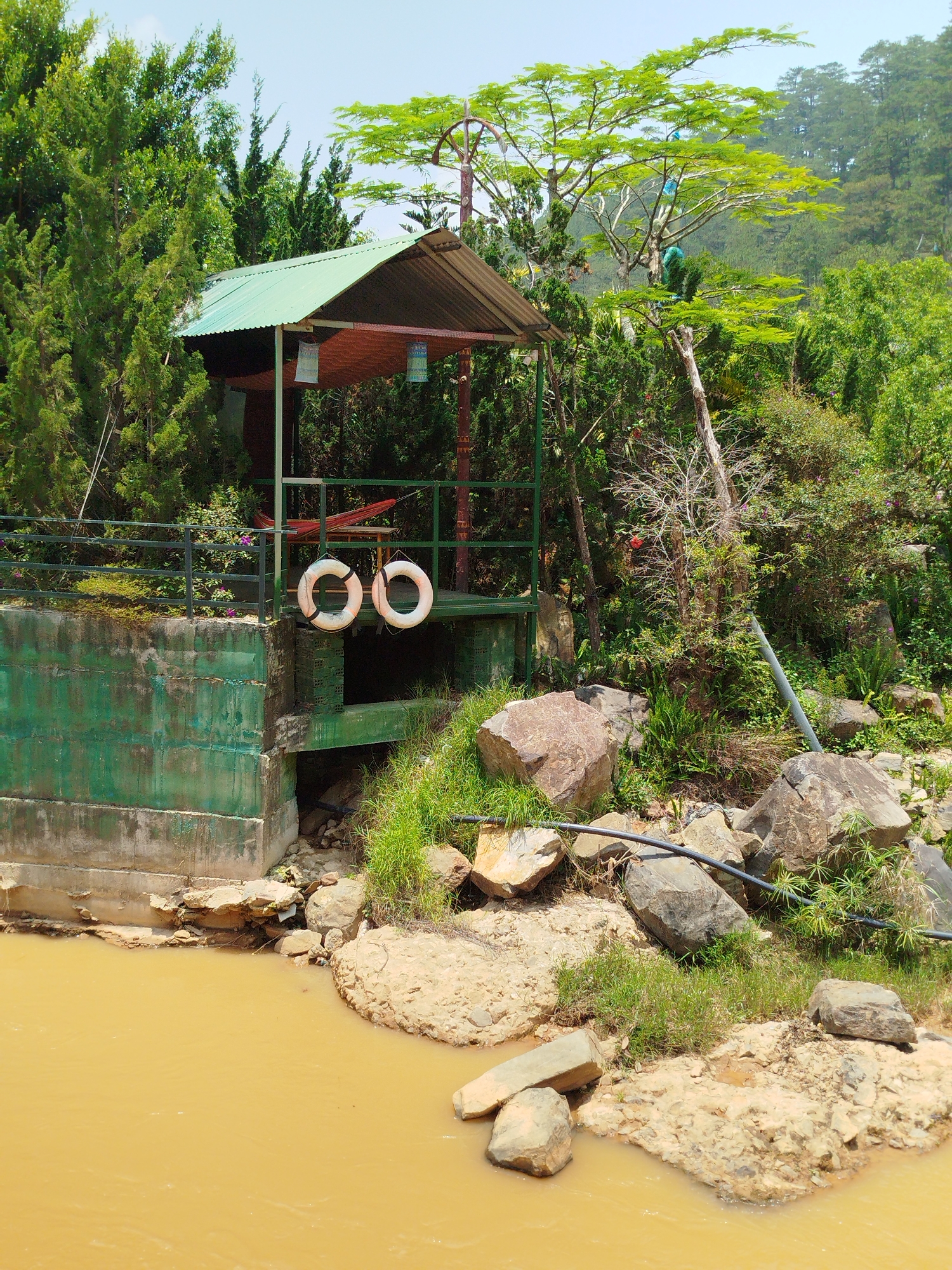 The image displays an outdoor scene in Păng Tiêng 1, Vietnam, featuring a small, open-sided shelter situated directly above a muddy, yellowish-brown river or canal. The shelter has a light green corrugated metal roof and a darker, reddish-brown underside, supported by metal posts, with a matching green metal railing. Two white life preservers, each clearly marked with "OO" in black text, hang from the railing, suggesting safety measures for the water. Inside the shelter, a red hammock and two cylindrical, multi-colored lanterns are visible.
The environment is densely vegetated with various trees and shrubs. Tall, slender evergreen-like trees are prominent, particularly to the left of the shelter. To the right, a large tree with vibrant, light green foliage stands, within which subtle blue decorative elements are faintly visible. A bare, twiggy tree branch is also seen near this larger tree. The river below flows past a concrete wall, partially painted green and showing signs of wear, and a concrete culvert opening directly beneath the shelter. The riverbanks are rugged, composed of large and small rocks, earth, and patches of grass, with a black pipe running along the right bank. The water is calm and turbid.
The scene is captured in bright daylight under a clear sky, indicating either morning or early afternoon. No people are present, lending a tranquil and rustic atmosphere to the location, which appears to be a natural or semi-developed scenic spot for observation or relaxation.