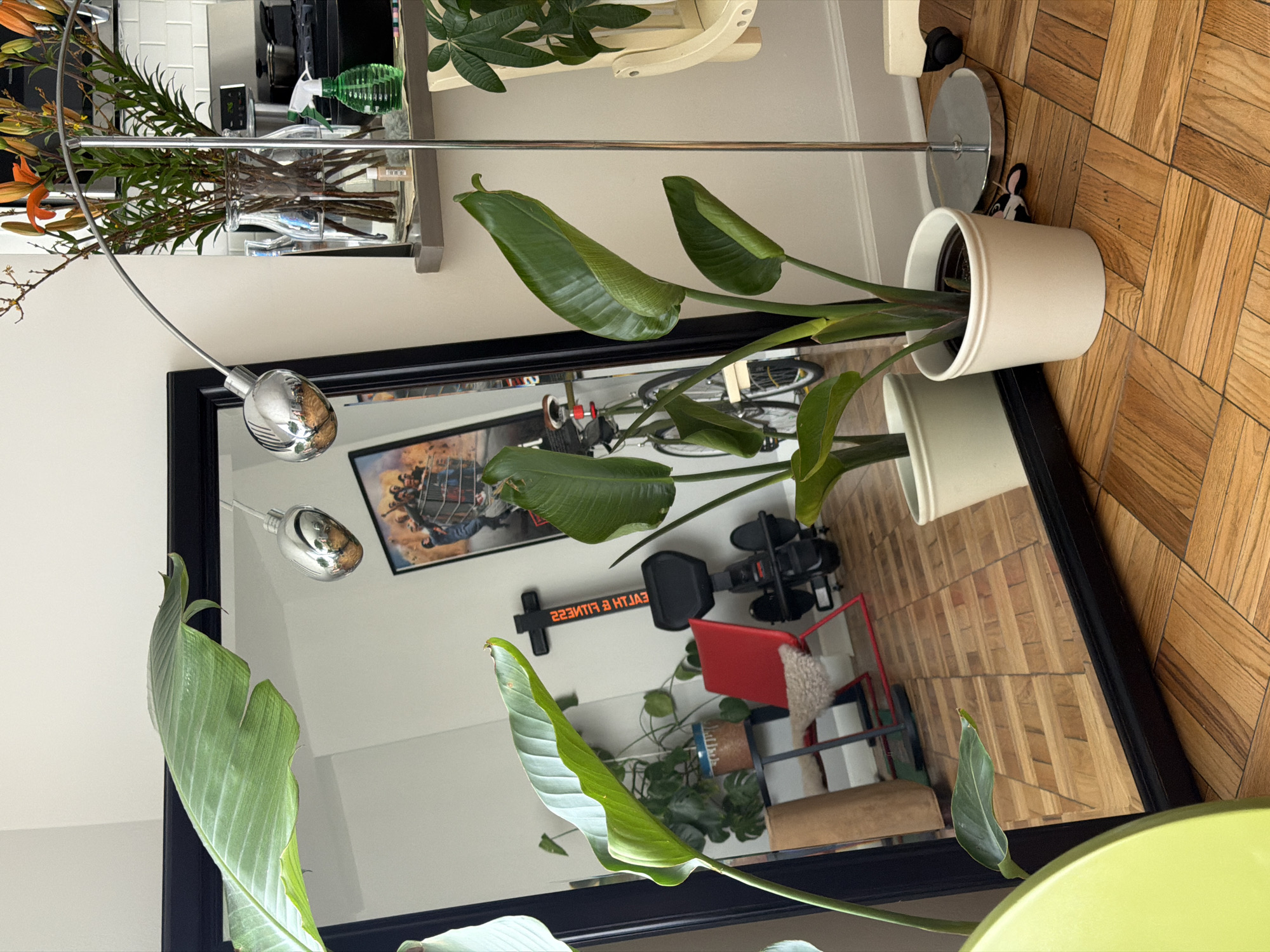 The image shows a room reflected in a large mirror. The room contains exercise equipment including a rowing machine, a bicycle, and free weights. Other objects in the room include plants, a floor lamp, and a shelf. A painting is hanging on the wall. The room is located in Los Angeles, United States of America. The flooring is made of wood parquet. There are no people visible in the image.