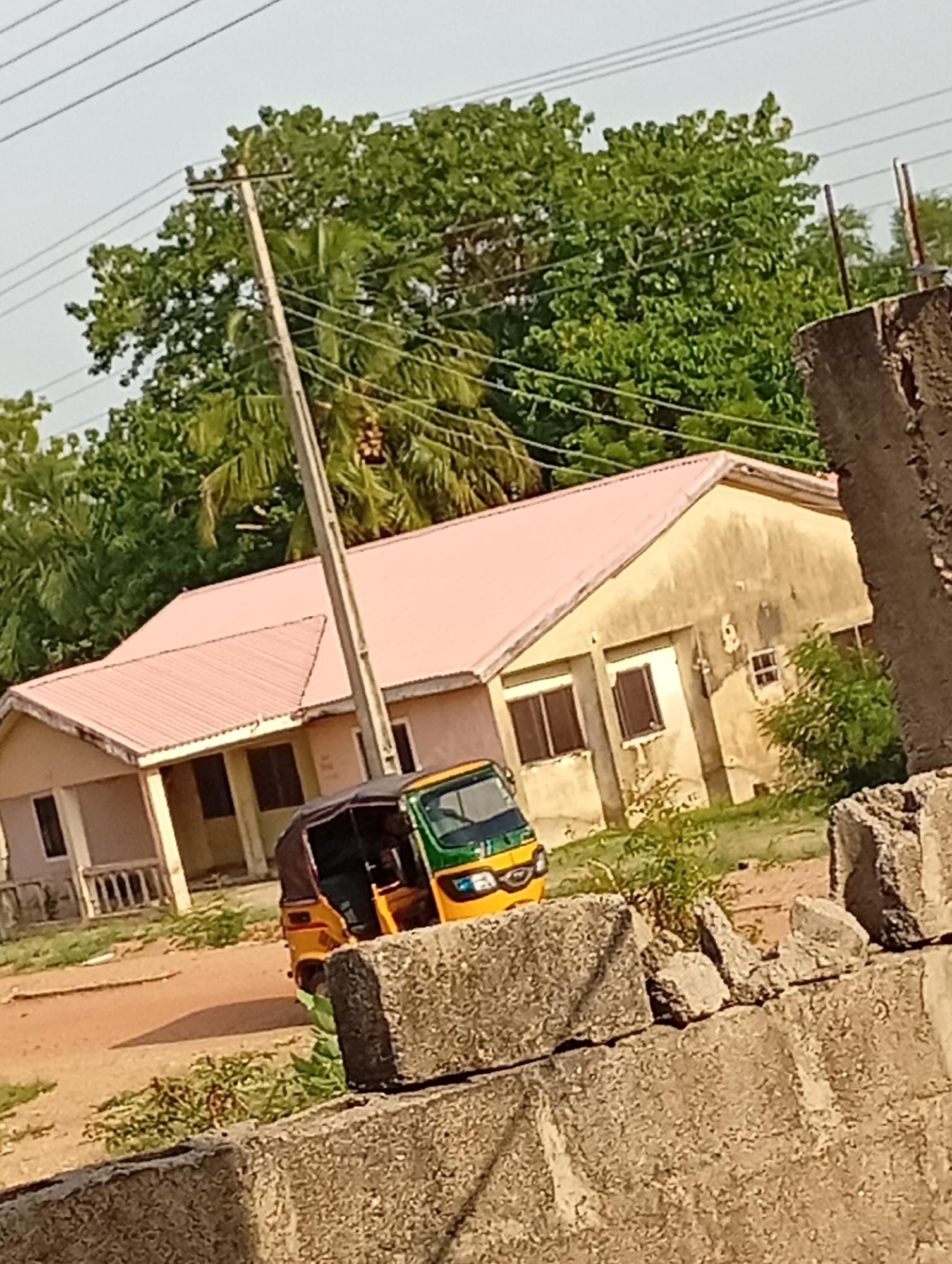 This outdoor image depicts a sunny scene in Adankolo, Nigeria, showcasing a single-story building, an auto-rickshaw, and a utility pole, framed by natural and man-made elements.
The central subject is a building with light yellow or beige walls, exhibiting some weathering and discoloration, and a distinctive pink corrugated metal roof. It features multiple rectangular windows, some with dark frames, and a small shaded porch or veranda at one entrance.
In front of the building, a yellow and green auto-rickshaw, commonly known as a Keke Napep, is parked on a dirt surface. The vehicle appears to be stationary, with no occupants visible, suggesting a paused moment in daily activity.
A tall, grey concrete utility pole stands prominently in the midground, supporting several power lines that extend horizontally across the upper portion of the frame. Behind the building and pole, a dense canopy of lush green trees, including what look like palm trees with hanging fruit clusters, fills the background against a clear, bright sky.
The immediate foreground features a rough concrete wall or barrier, partially broken in places, adding texture to the scene. The ground is a mix of reddish-brown dirt and sparse green vegetation. The bright, clear sky and strong lighting indicate it is daytime, likely mid-morning or afternoon. No people or visible text are present in the image.