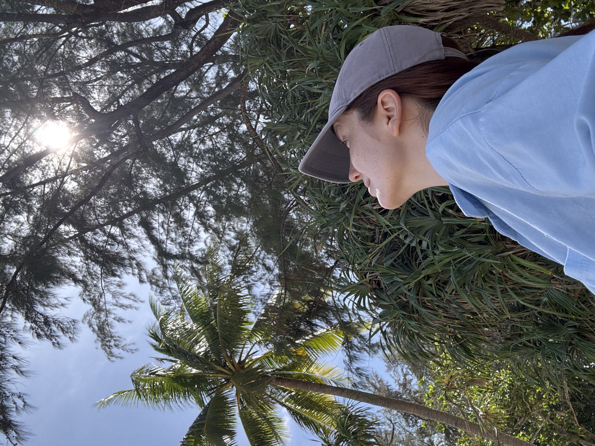 The image depicts a woman in a light blue shirt and grey baseball cap looking to her left, possibly towards the trees. The photo appears to be taken from a low angle looking up towards the sky, trees, and the woman. The background includes a mix of pine trees, and a palm tree set against a bright blue sky. Sunlight is visible through the tree branches. This scene suggests a natural outdoor setting, possibly in Choeng Thale, Thailand, given the presence of palm trees and other tropical vegetation. The woman is the primary subject, and she seems to be observing her surroundings, but her specific actions or interactions with the environment cannot be determined from the image alone.