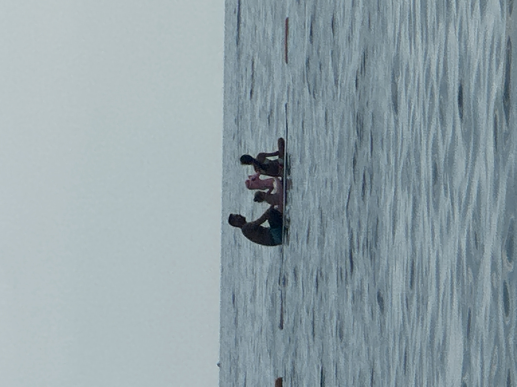 In the city of Boreti, Montenegro, on a body of water with light blue, choppy waves under an overcast sky, a group of four individuals is present on a paddleboard. The paddleboard is dark and appears to be made of a solid material.
From left to right, a male with dark hair and wearing dark shorts is seated and facing the right. Next to him, a child, possibly a young girl, is seated and leaning on a pink inflatable toy. To the right of the child, a second child, possibly a boy, is also seated and facing right. Further to the right, a third individual, whose gender is not clearly discernible due to the silhouette, is seated and facing right. The people are positioned in a line across the paddleboard. The overall scene suggests a leisurely activity on the water. There are some visible orange buoys or floats in the water to the left and right of the paddleboard, suggesting a designated area or a race course. The horizon line is barely visible due to the overcast conditions.