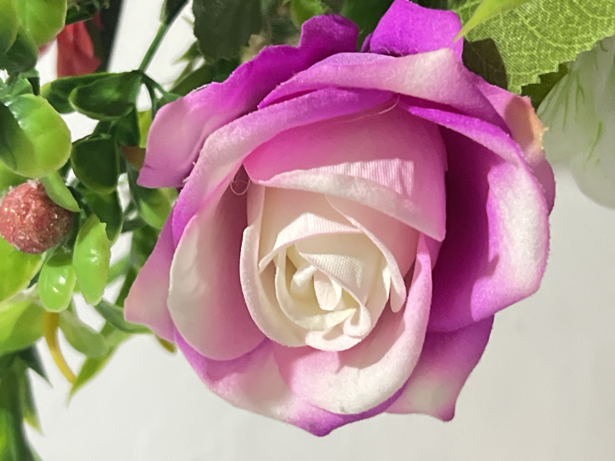A close-up, brightly lit, indoor photograph shows a synthetic pink and white rose. The rose is depicted from a slightly elevated angle, with its petals unfurling towards the viewer. The outer petals are a vibrant fuchsia pink, transitioning to a soft pink and then to a creamy white towards the center of the bloom. The rose's texture appears smooth and artificial. In the background, blurred green foliage and a small, red, berry-like object are visible. The background is a plain, light color, possibly a wall or table. The scene does not depict any people or specific urban location; therefore, its placement within Denpasar, Indonesia, cannot be determined from the visual information provided.