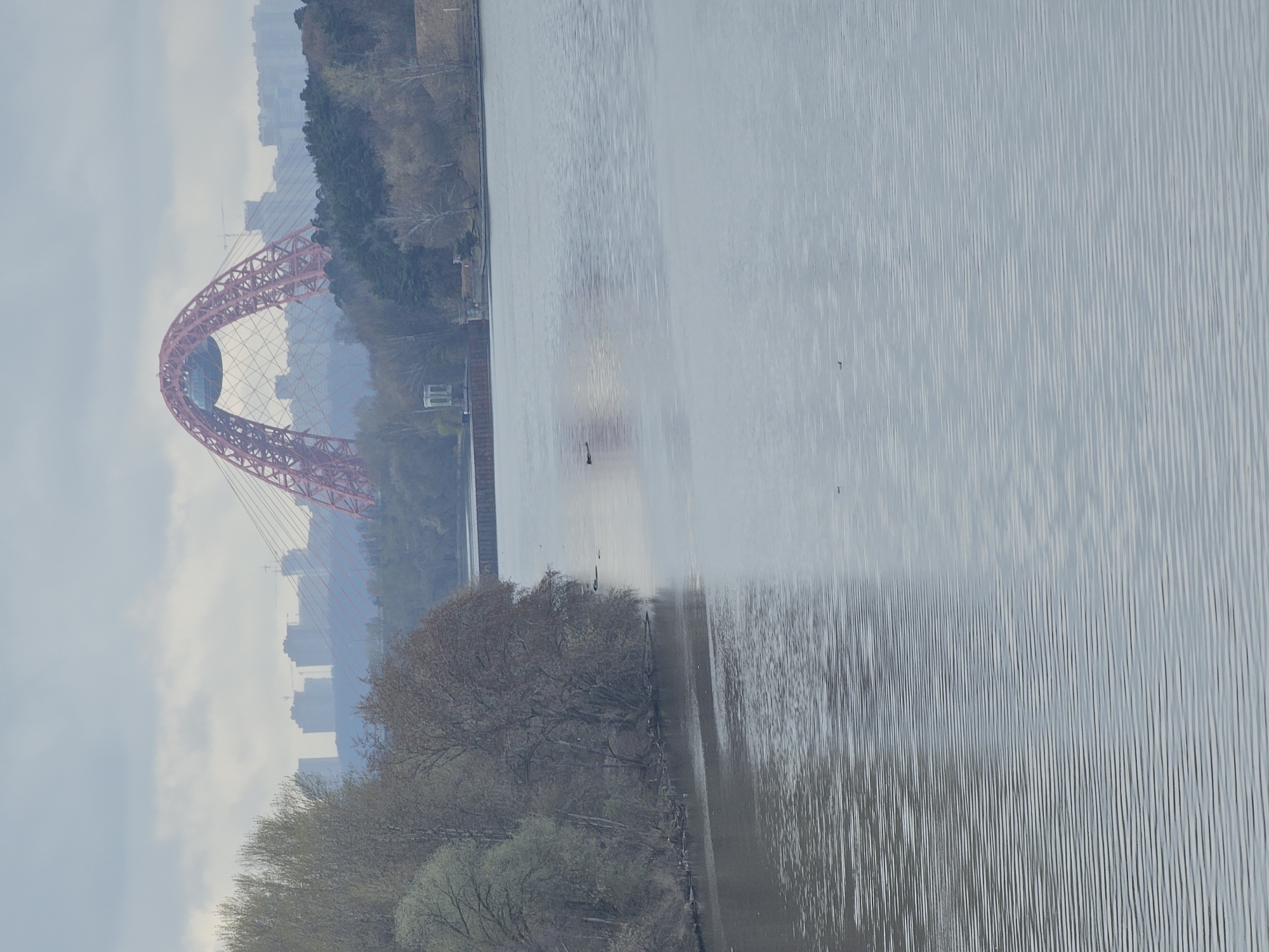 The image shows a view of the Zhivopisny Bridge in Khimki, Russia, spanning a body of water. The bridge is a distinctive red cable-stayed structure with a large arch. Buildings are visible in the background, partially obscured by a hazy atmosphere. In the foreground, trees line the edge of the water, and the water itself shows a textured surface with small waves or ripples. The scene suggests a calm, overcast day.