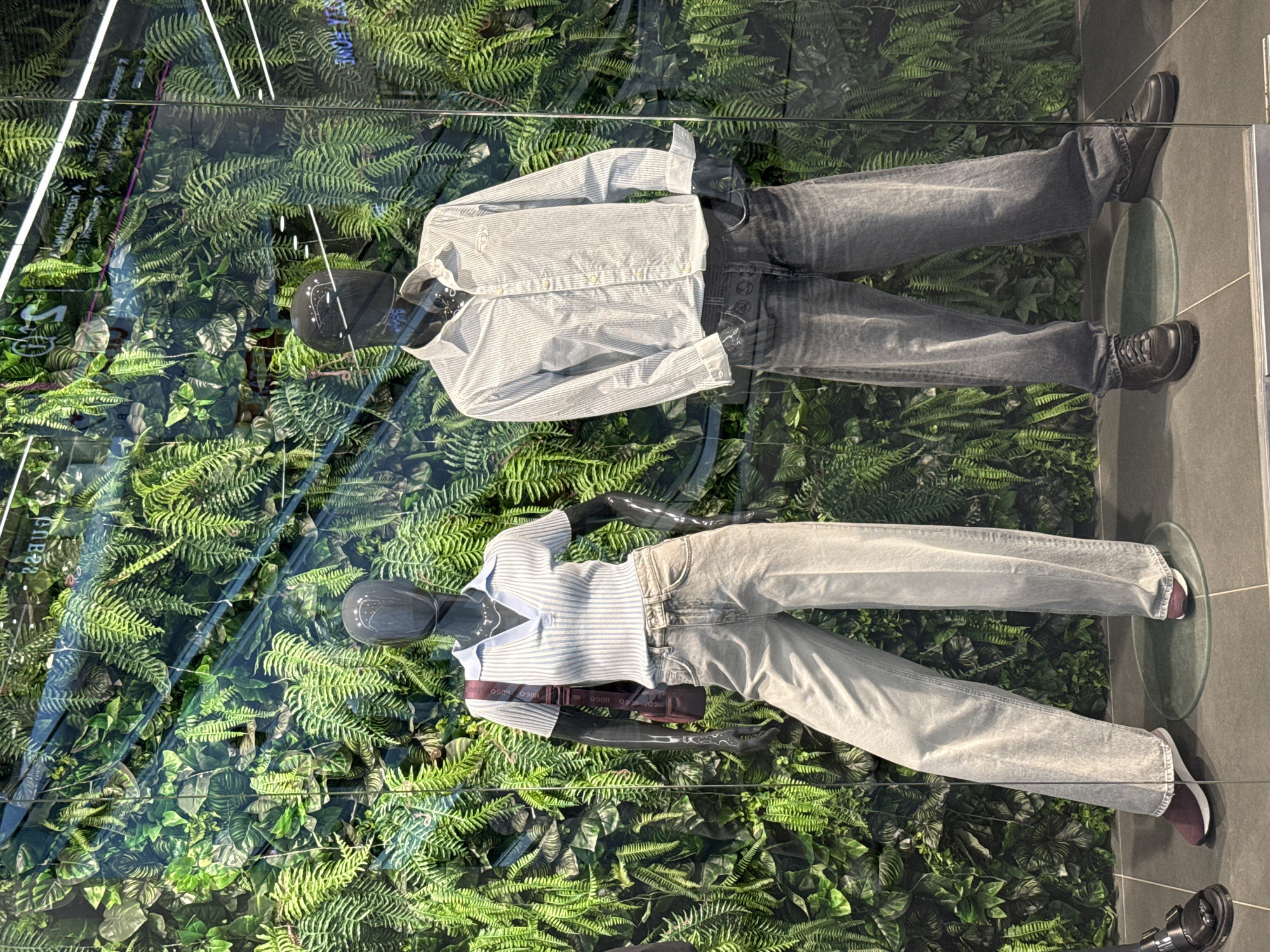 The image shows two mannequins displayed in what appears to be a store window. Both mannequins are dressed in casual, modern clothing with a natural, green background of ferns and plants behind them. The mannequins are positioned vertically, suggesting the photo was taken by tilting the camera or due to the orientation of the display.
The top mannequin is wearing a light blue and white striped button-down shirt and dark grey denim jeans. It is also wearing black lace-up boots. The bottom mannequin is wearing a light blue and white striped V-neck ribbed top and light grey washed jeans. It has a dark reddish-brown belt with visible text that appears to say "HUGO BOSS" repeated. This mannequin is wearing burgundy sneakers with white soles.
The setting is a retail display, likely a shop window, with a glass front reflecting the surroundings. The background is a dense arrangement of artificial greenery. The lighting appears to be bright and even, typical of an indoor display. There are no clear indicators of the time of day or weather conditions. The scene is static, showcasing the clothing on the mannequins. The overall impression is a clean and stylish retail presentation. The text "HUGO BOSS" is visible on the belt of the bottom mannequin. The location is identified as Izhevsk, Russia.