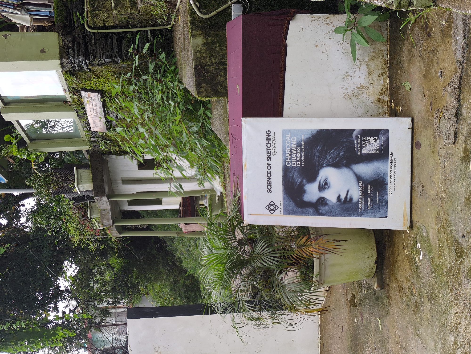 The image depicts an outdoor scene in Bhagsu, India, featuring a signboard for "Science of Sketching" charcoal drawing classes. The signboard, placed in the foreground, displays a portrait of a young woman, class timings, and contact information, including a website and phone number. A QR code is also visible on the sign. To the left of the signboard is a large potted palm plant with green and some dry, yellowing fronds. The ground appears wet and reflective, suggesting recent rain, with puddles and scattered debris. In the background, a multi-tiered structure with white walls and moss-covered stone walls is visible, adorned with plants and windows. The overall environment suggests a somewhat rustic and natural setting within a developed area.